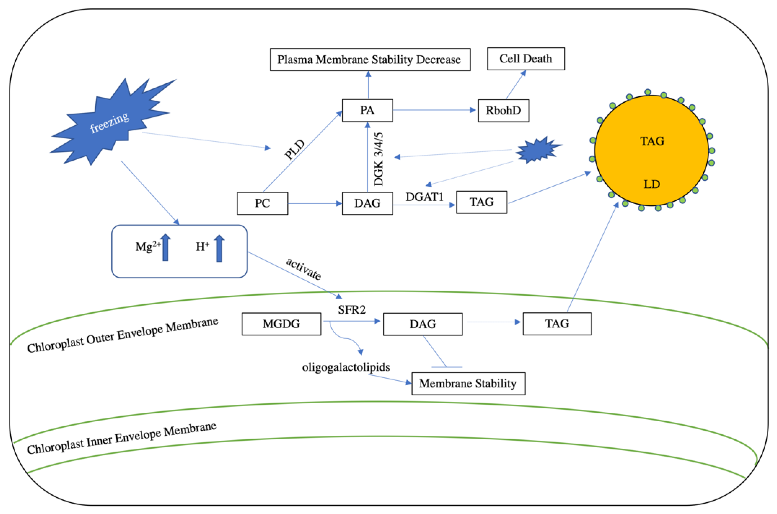 Plants 09 00472 g003 Plants 09 00472 g003
