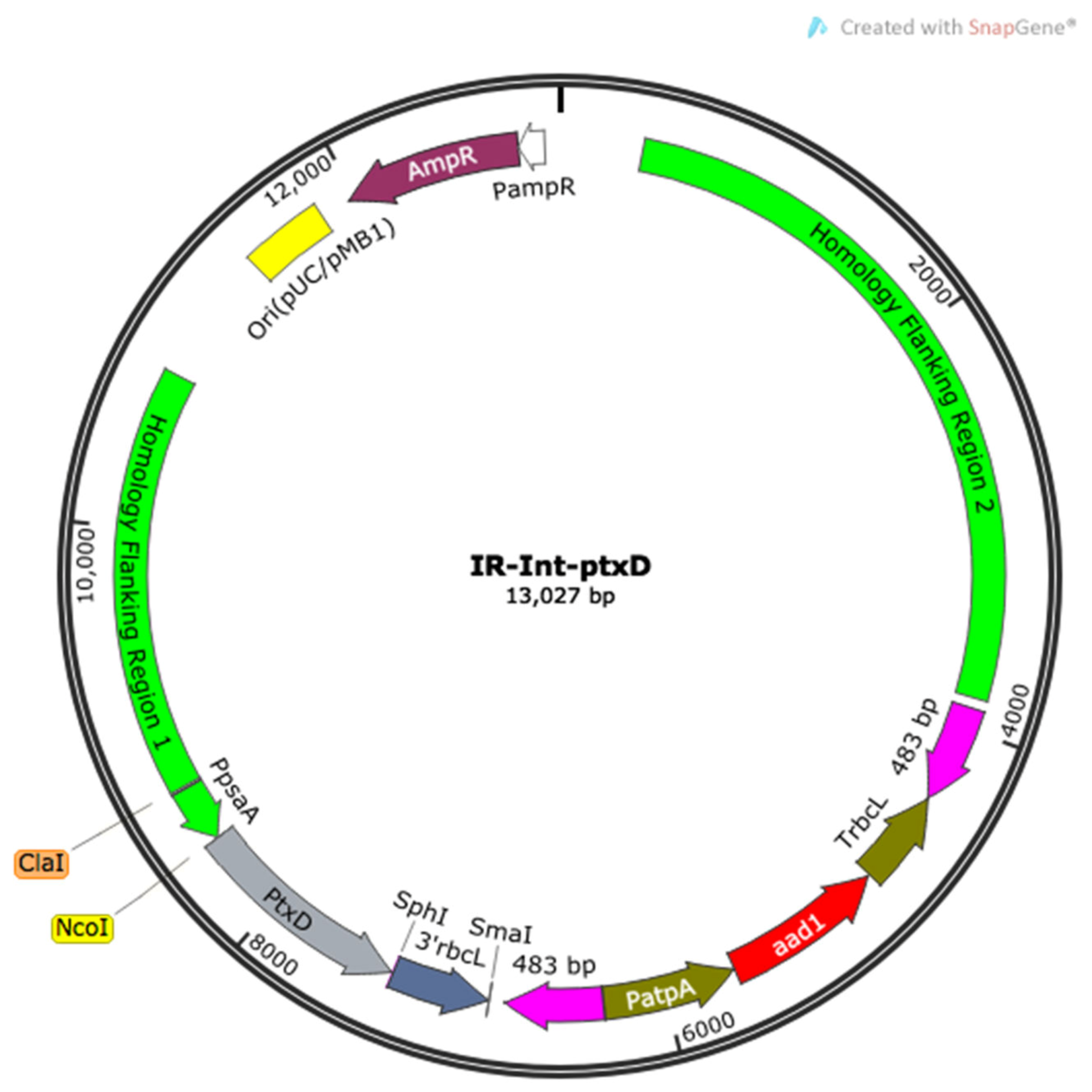 Plants 09 00473 g001