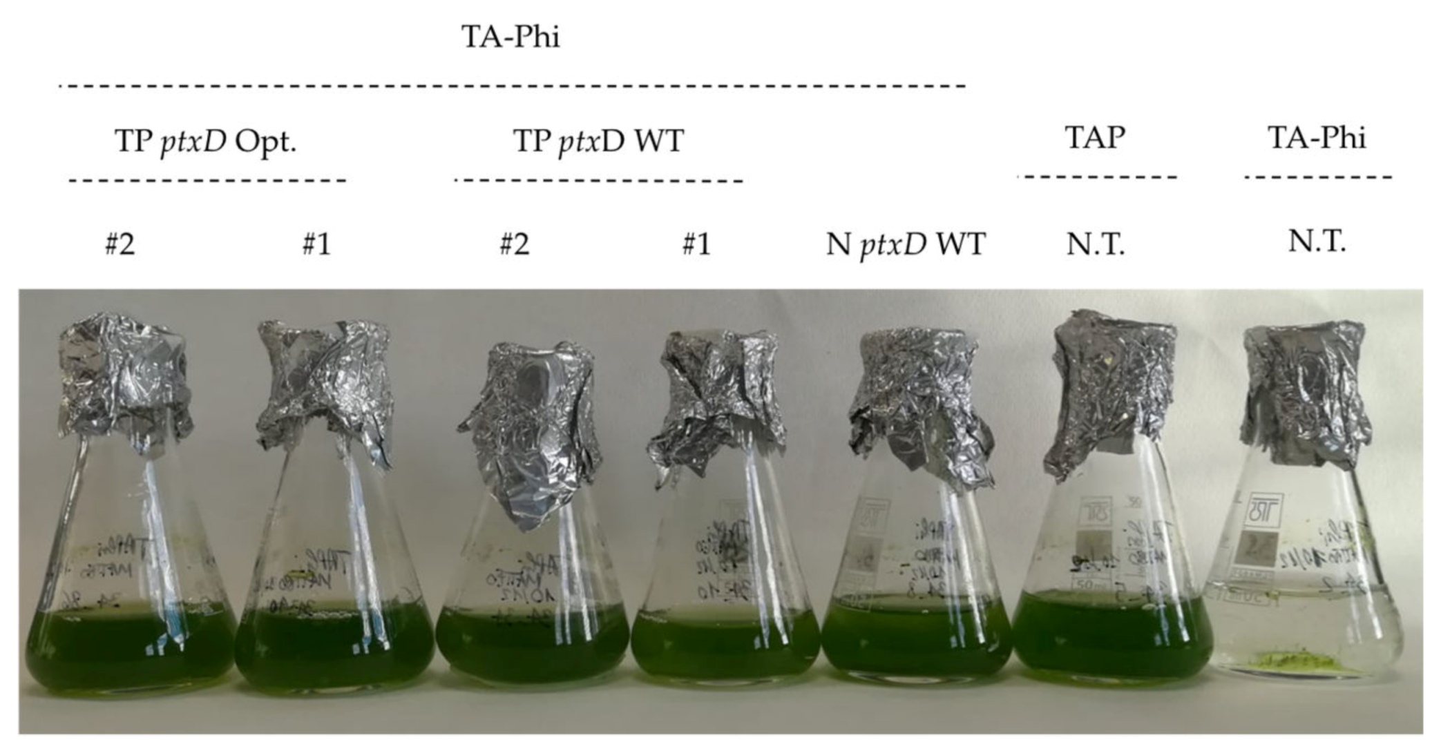 Plants 09 00473 g002