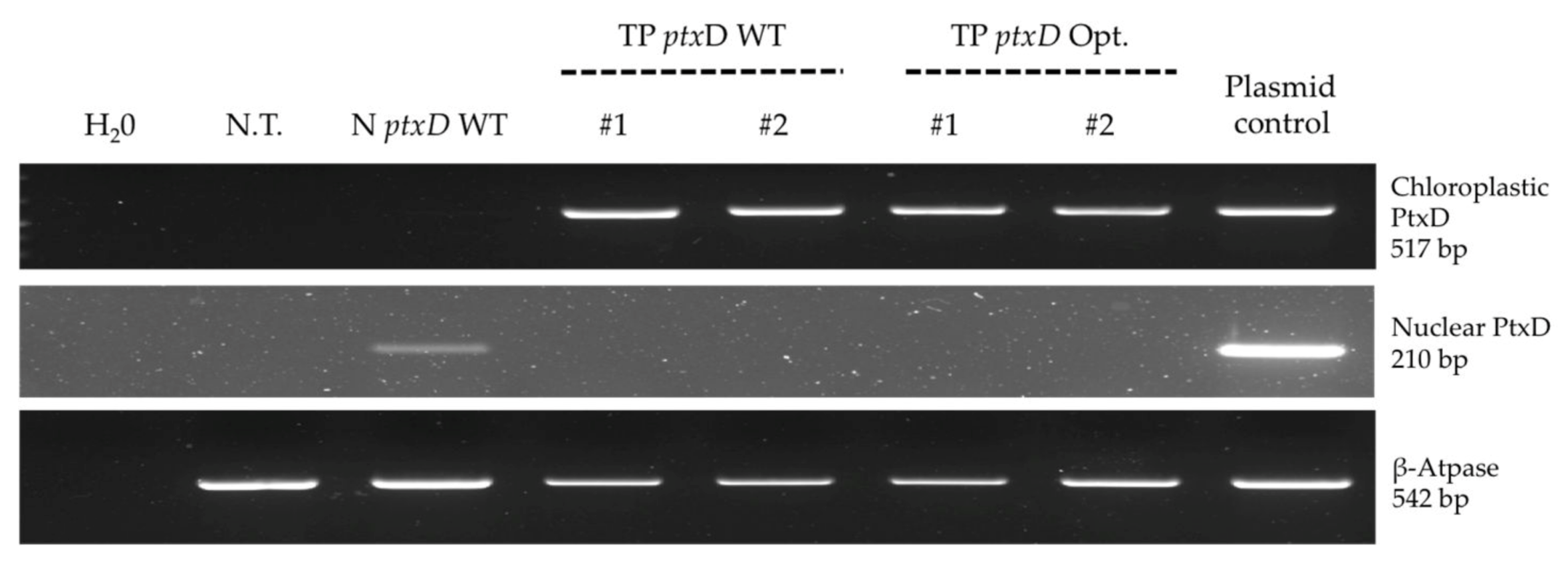 Plants 09 00473 g003