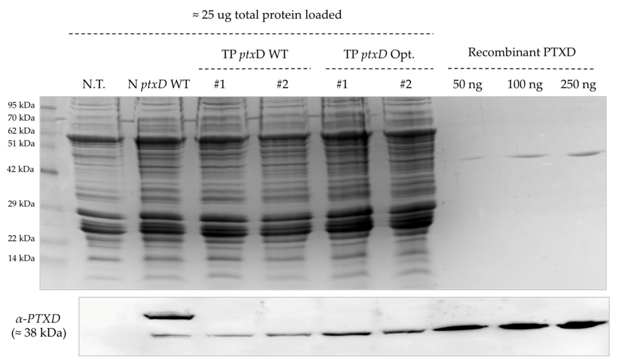 Plants 09 00473 g005