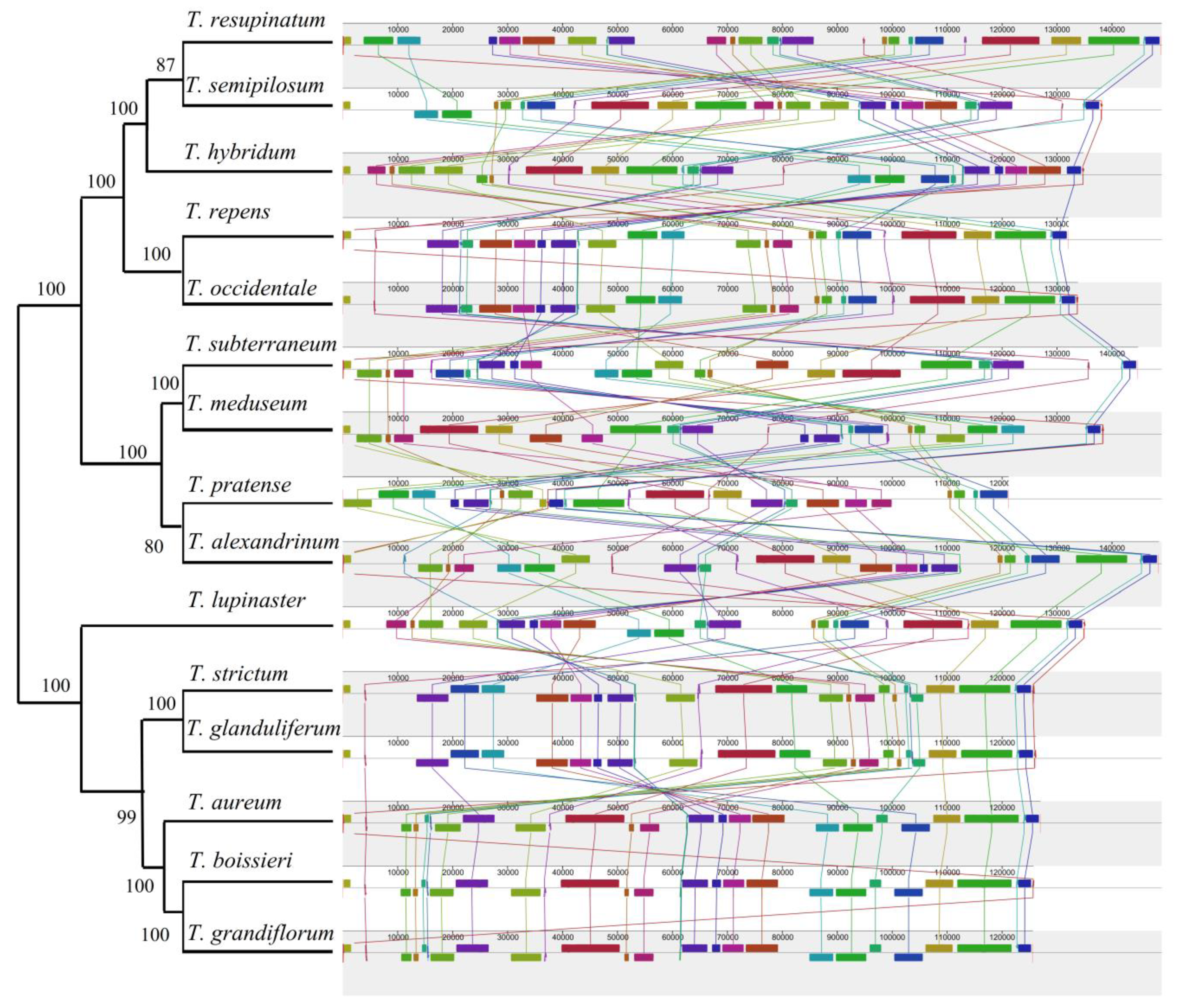 Plants 09 00478 g006