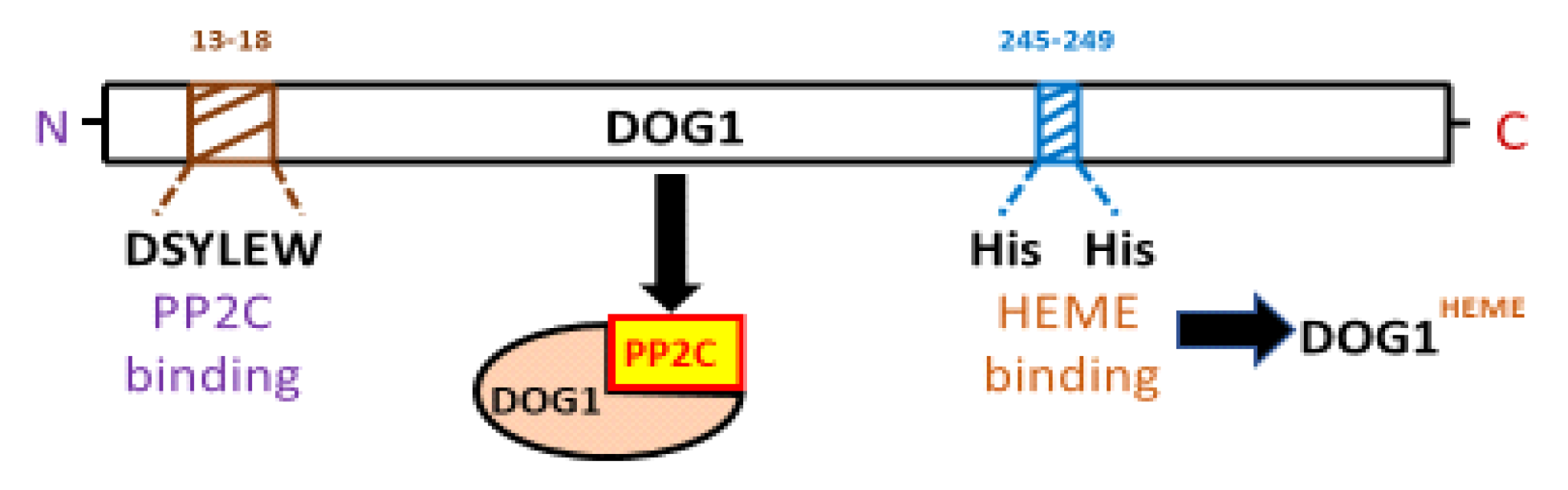 Plants 09 00480 g004
