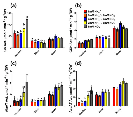 Plants Special Issue Plant Nitrogen Assimilation And Metabolism