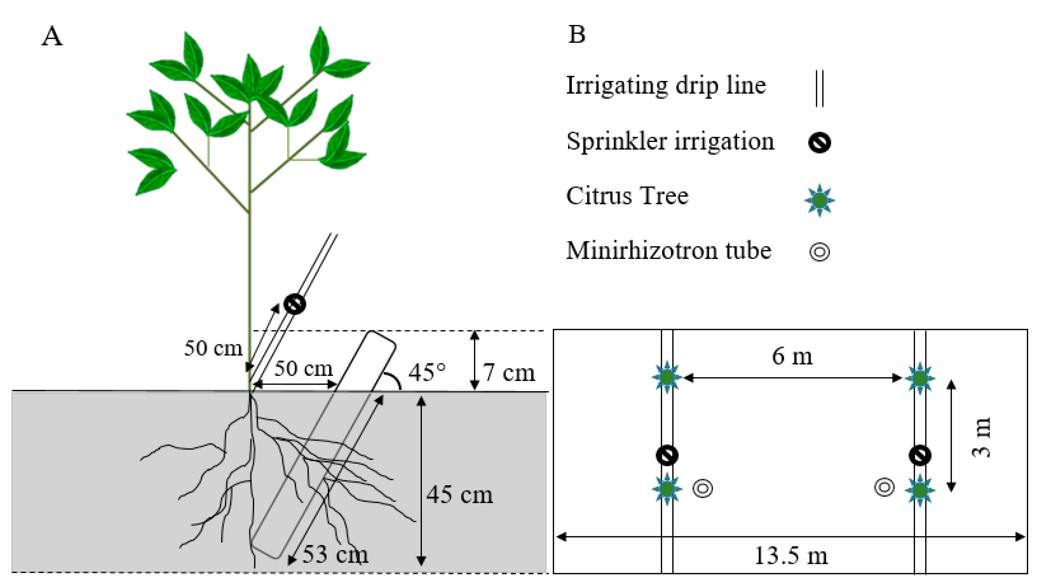 Plants 09 00483 g005