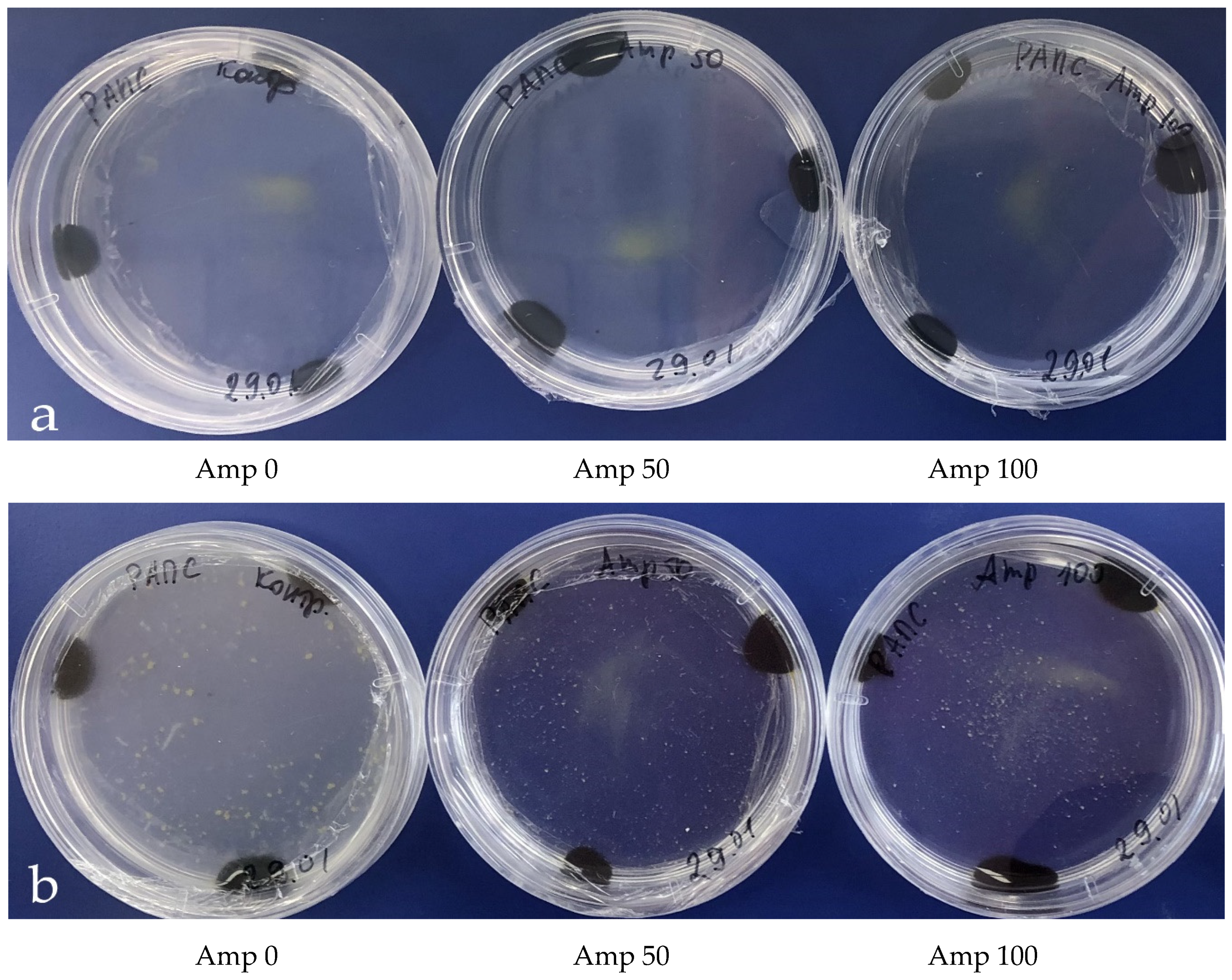 Plants 09 00489 g002