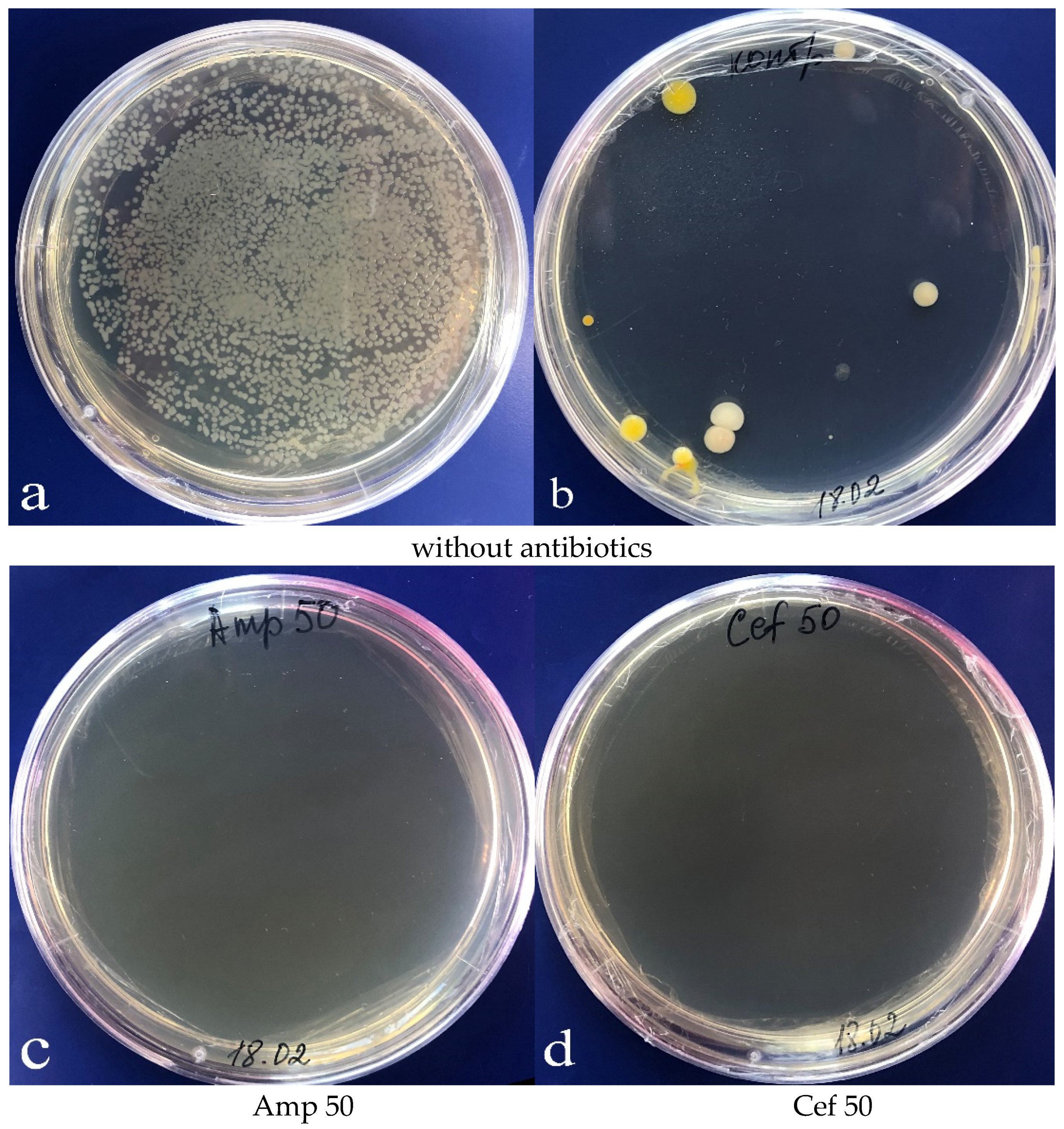 Plants 09 00489 g004