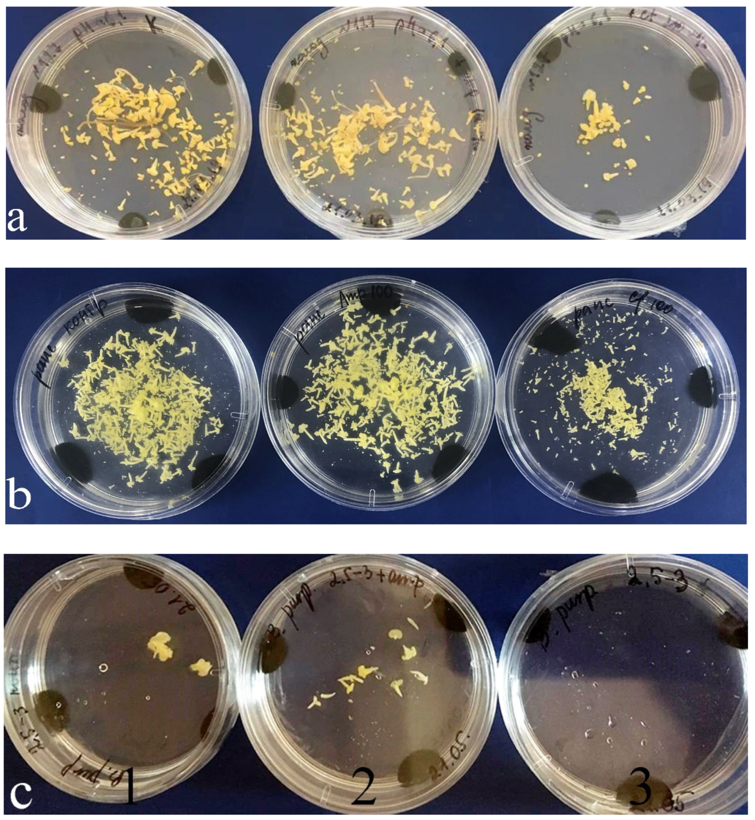 Plants 09 00489 g006