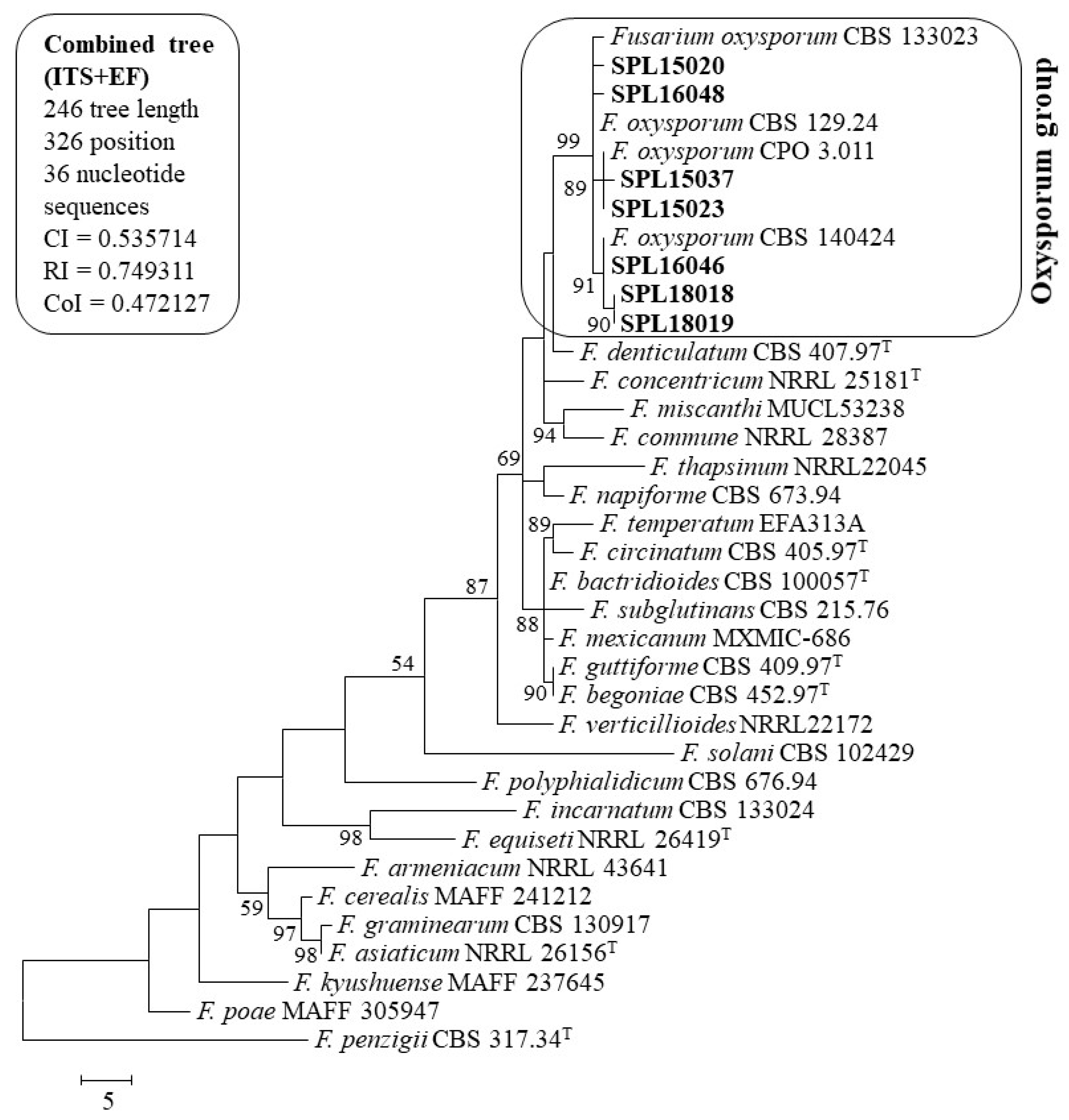 Plants 09 00497 g002 Plants 09 00497 g002