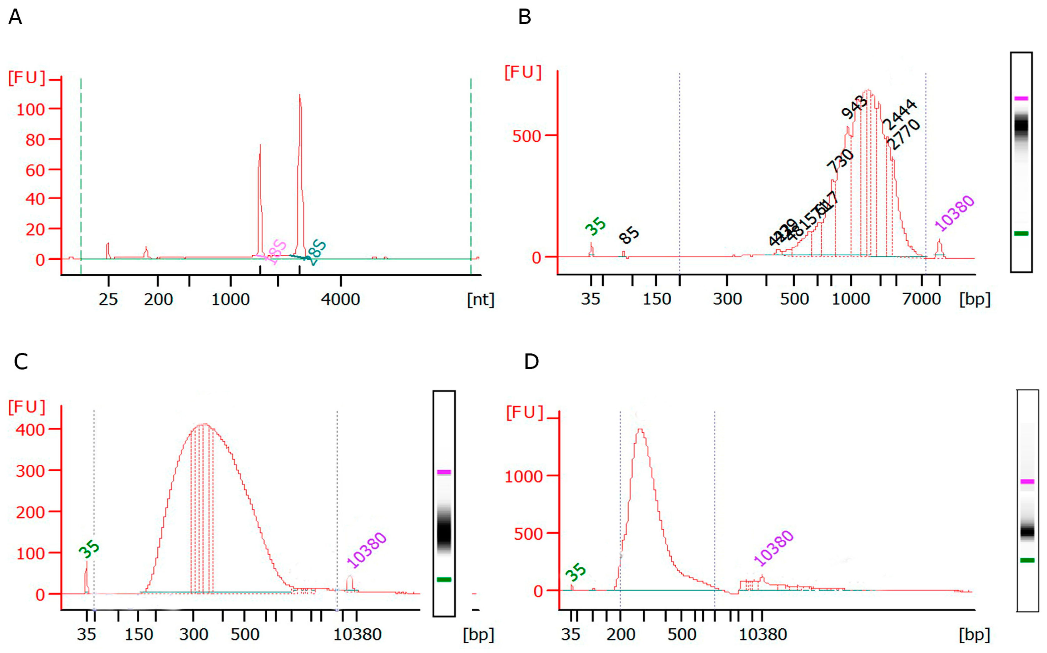 Plants 09 00499 g003
