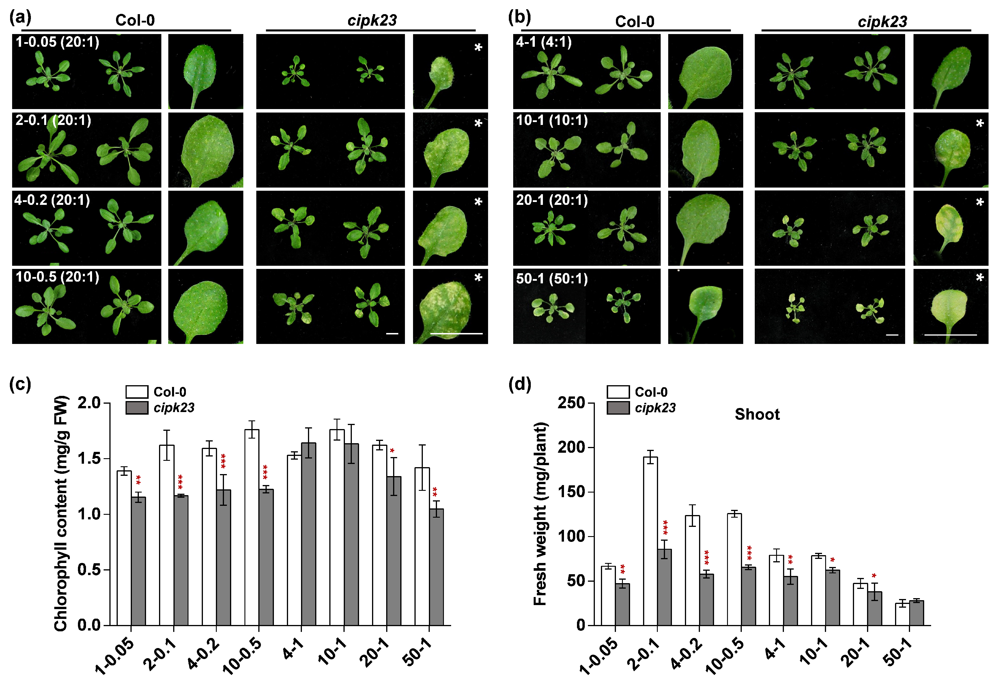 Plants 09 00501 g003