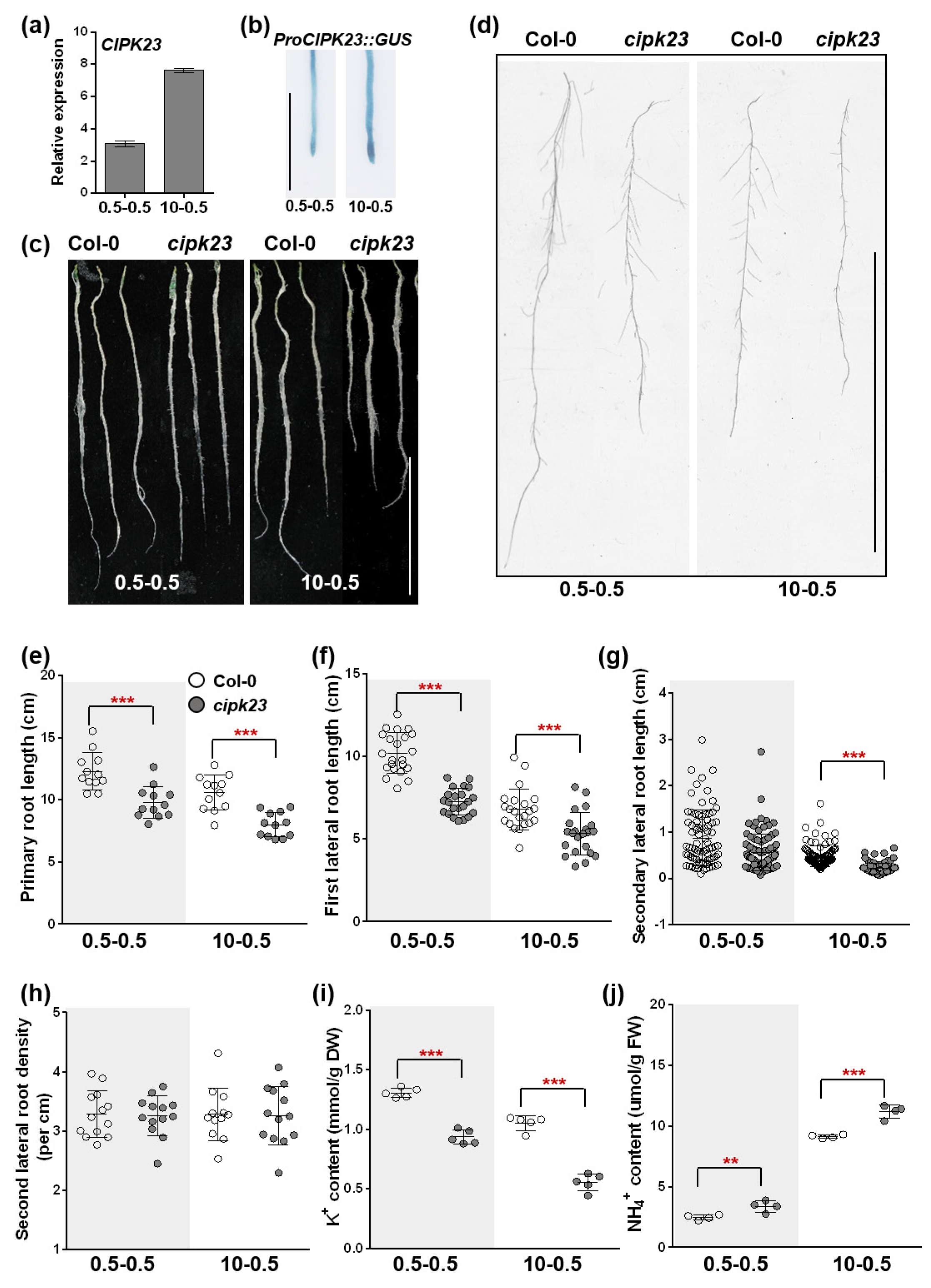 Plants 09 00501 g006