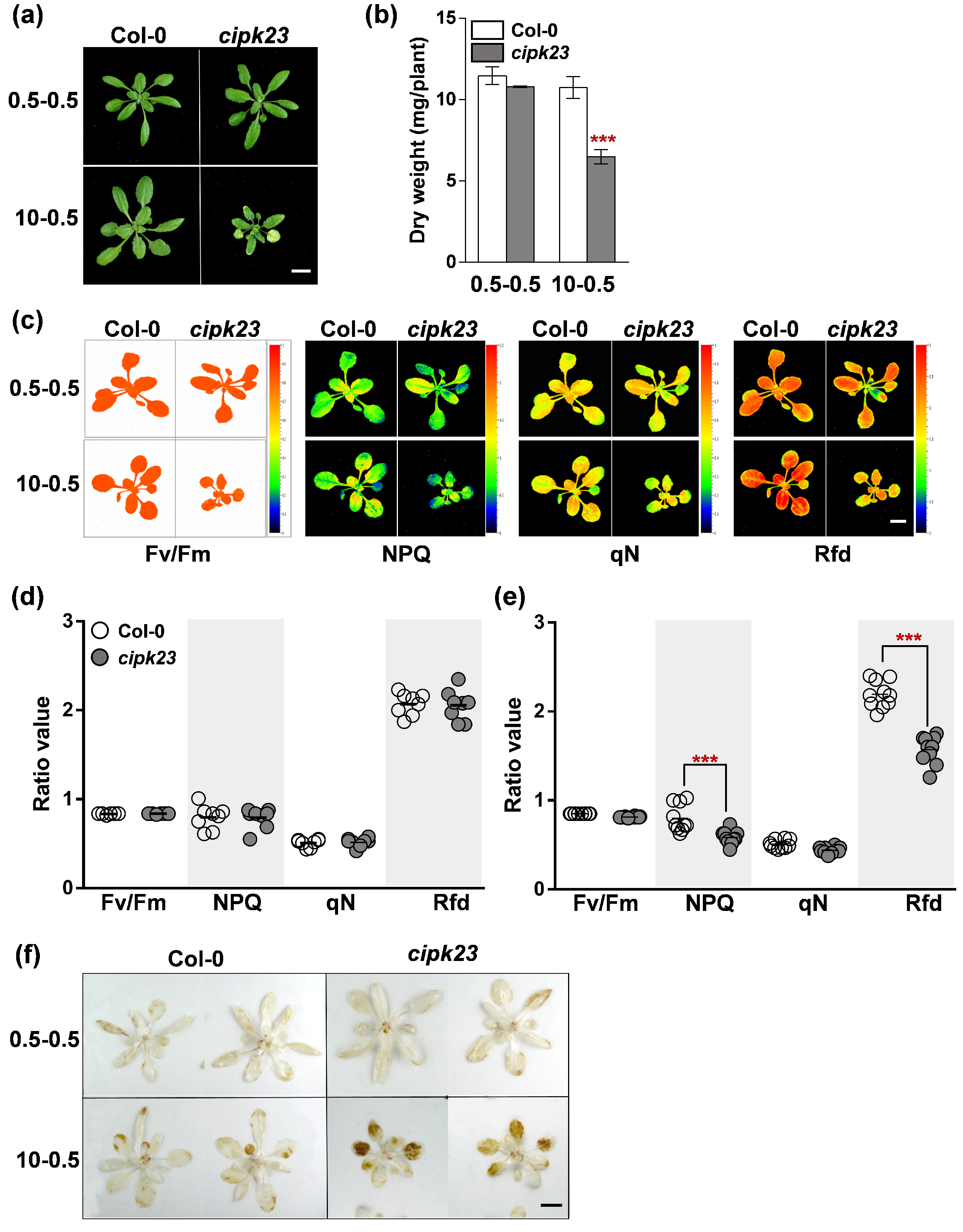 Plants 09 00501 g007
