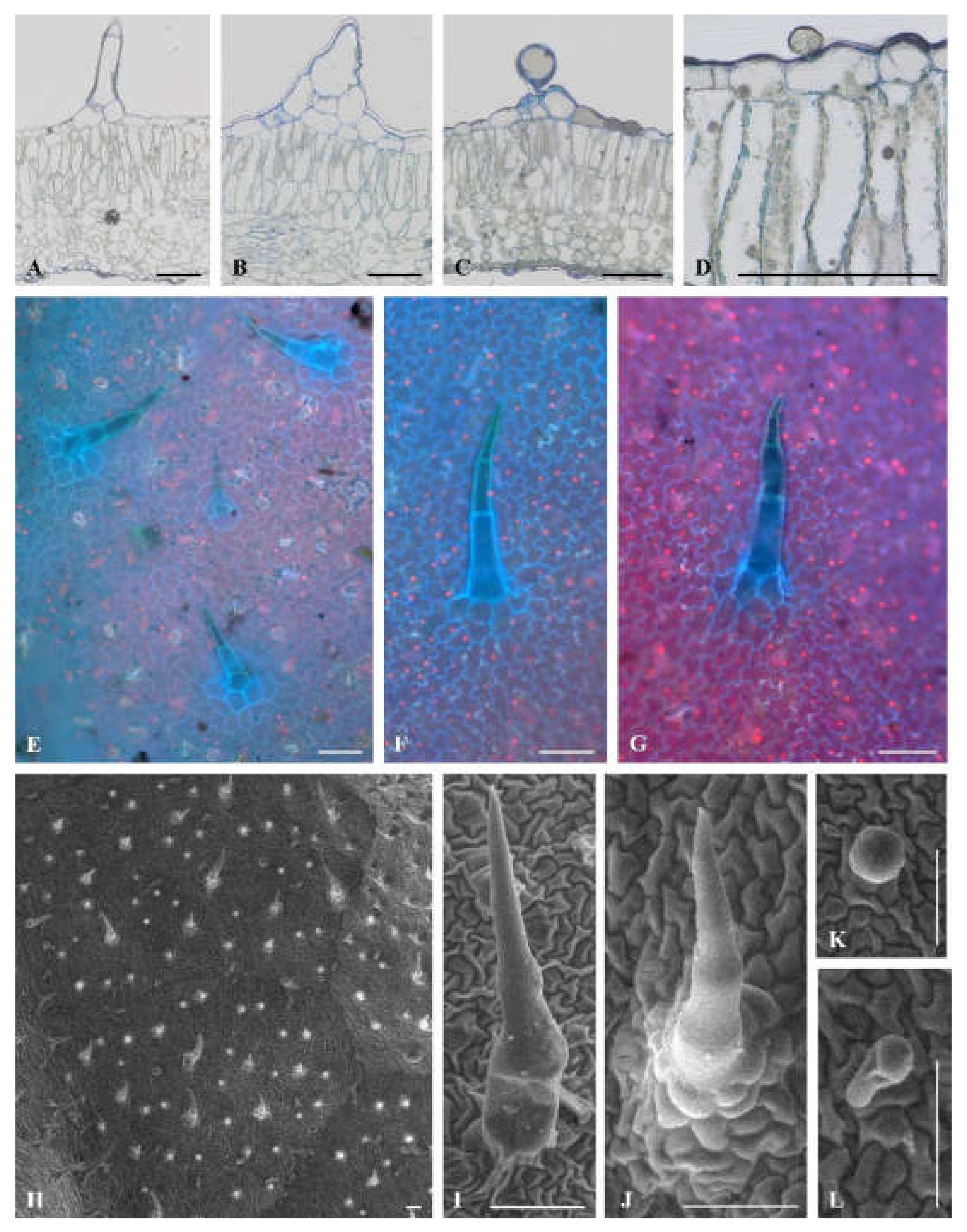 Plants 09 00504 g004 Plants 09 00504 g004