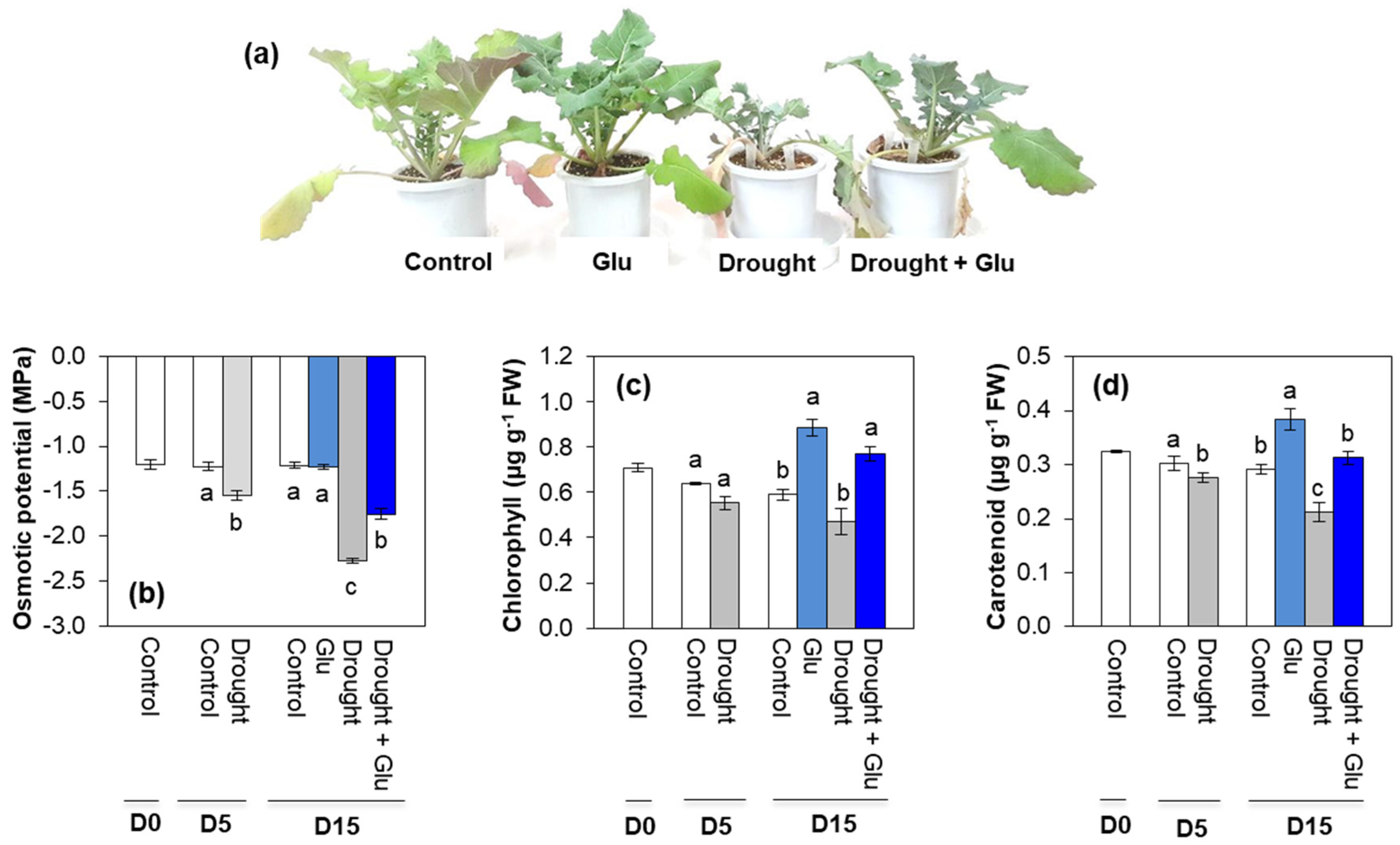 Plants 09 00512 g001 Plants 09 00512 g001