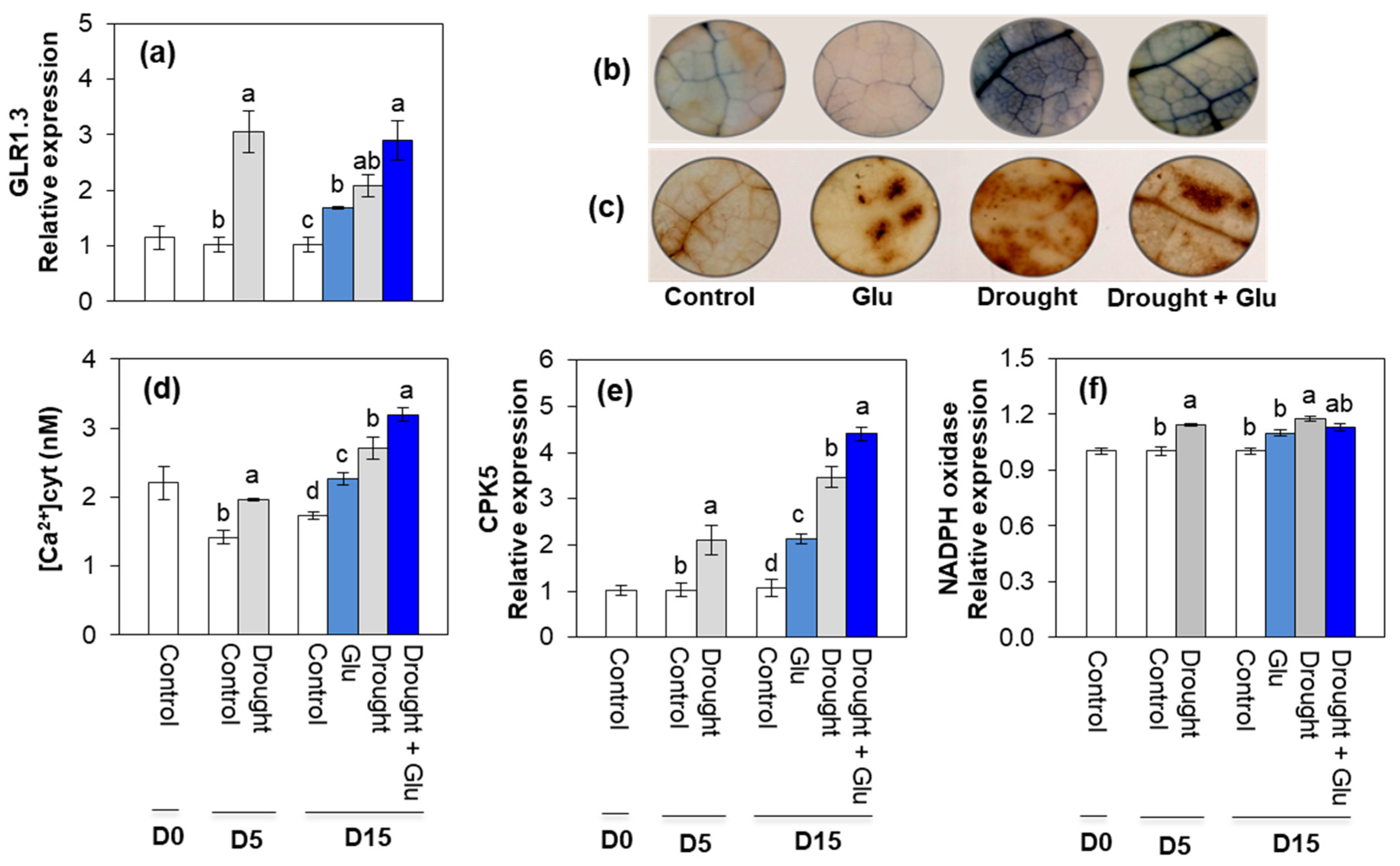 Plants 09 00512 g004 Plants 09 00512 g004