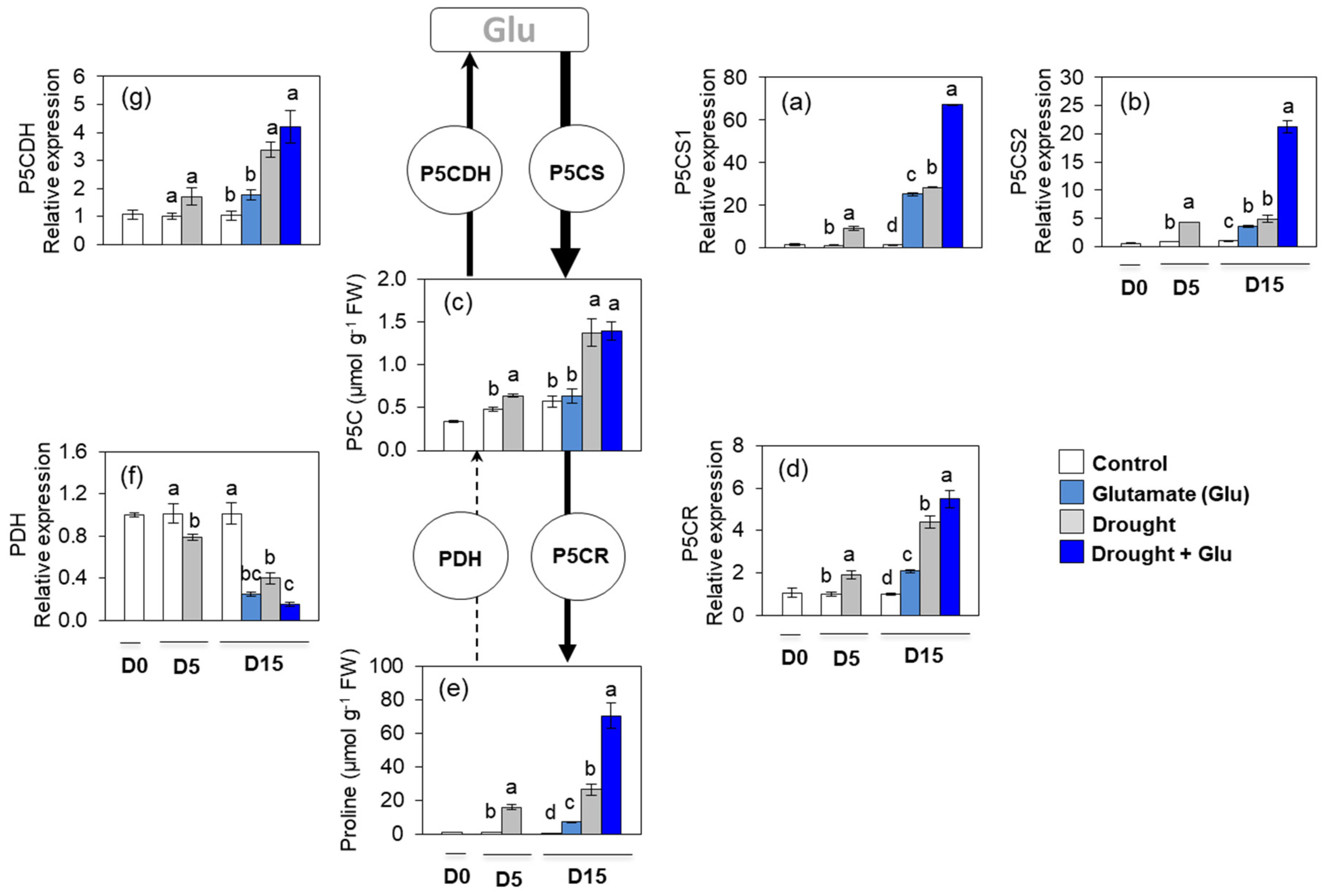 Plants 09 00512 g005 Plants 09 00512 g005