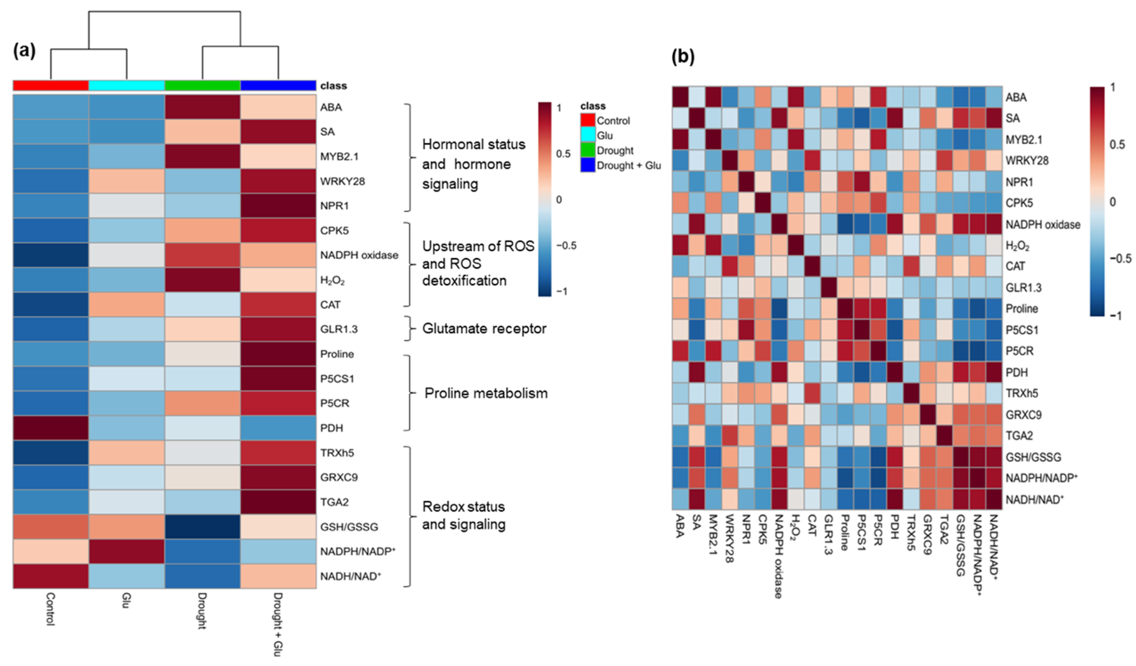 Plants 09 00512 g007 Plants 09 00512 g007
