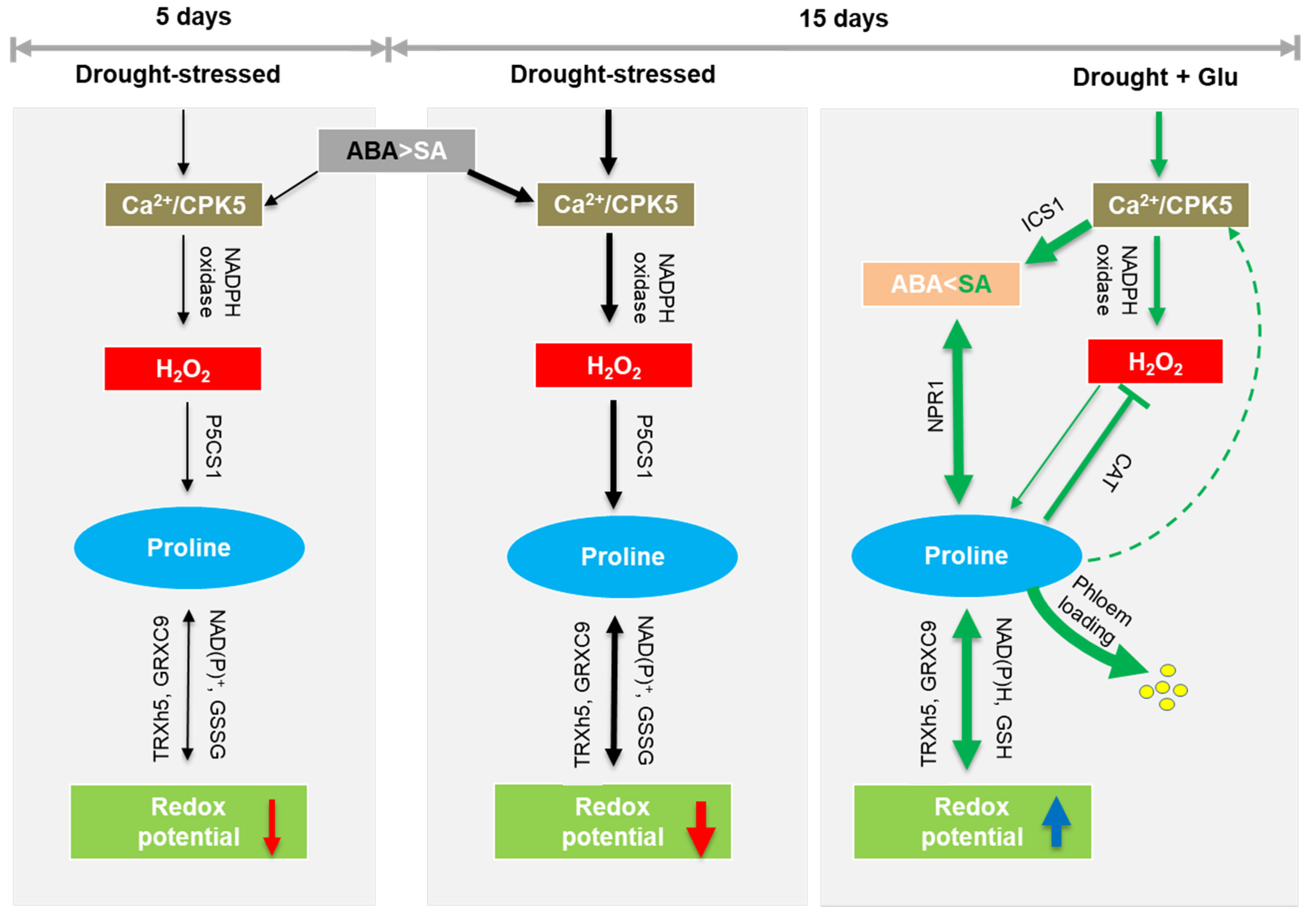 Plants 09 00512 g008 Plants 09 00512 g008
