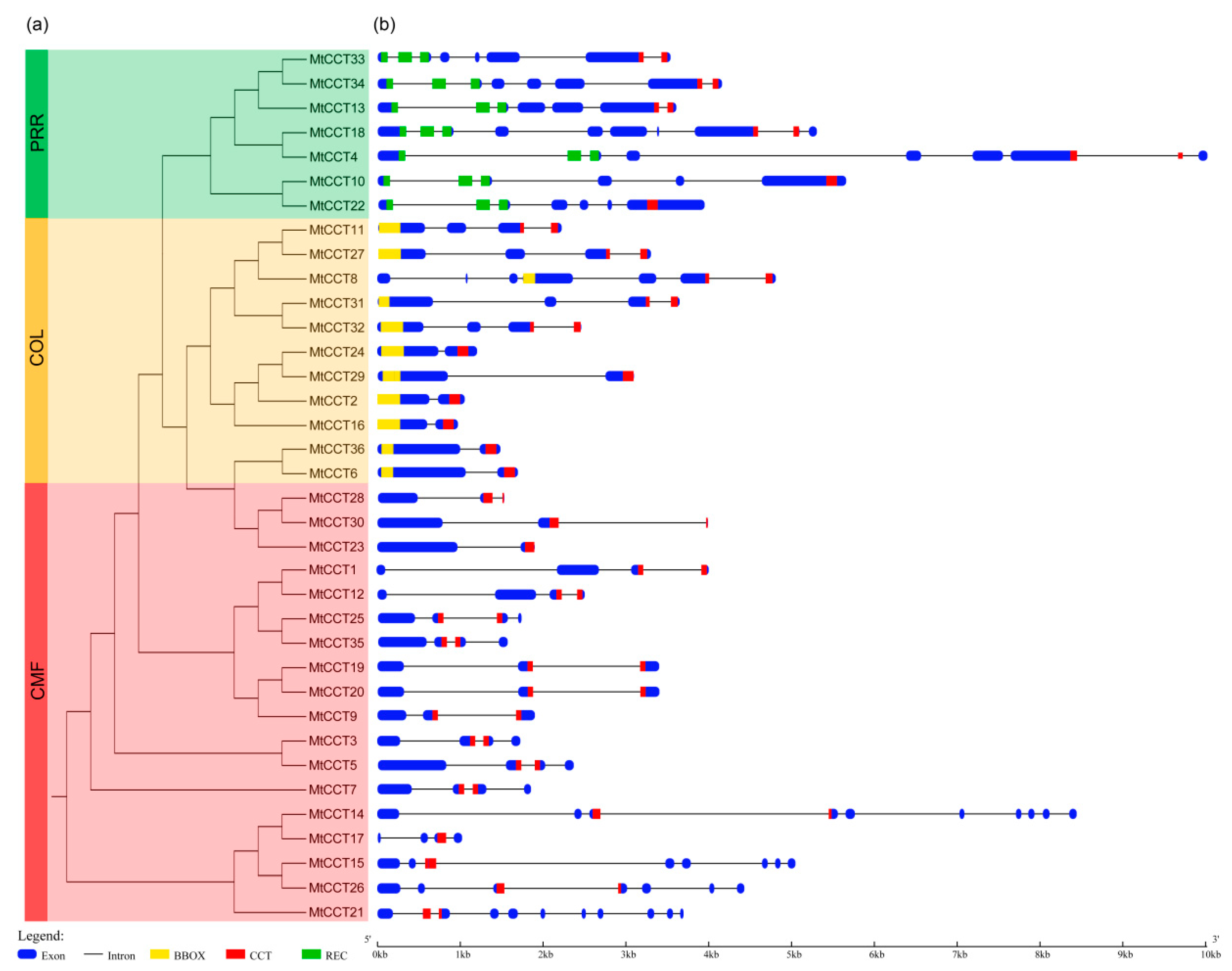 Plants 09 00513 g001