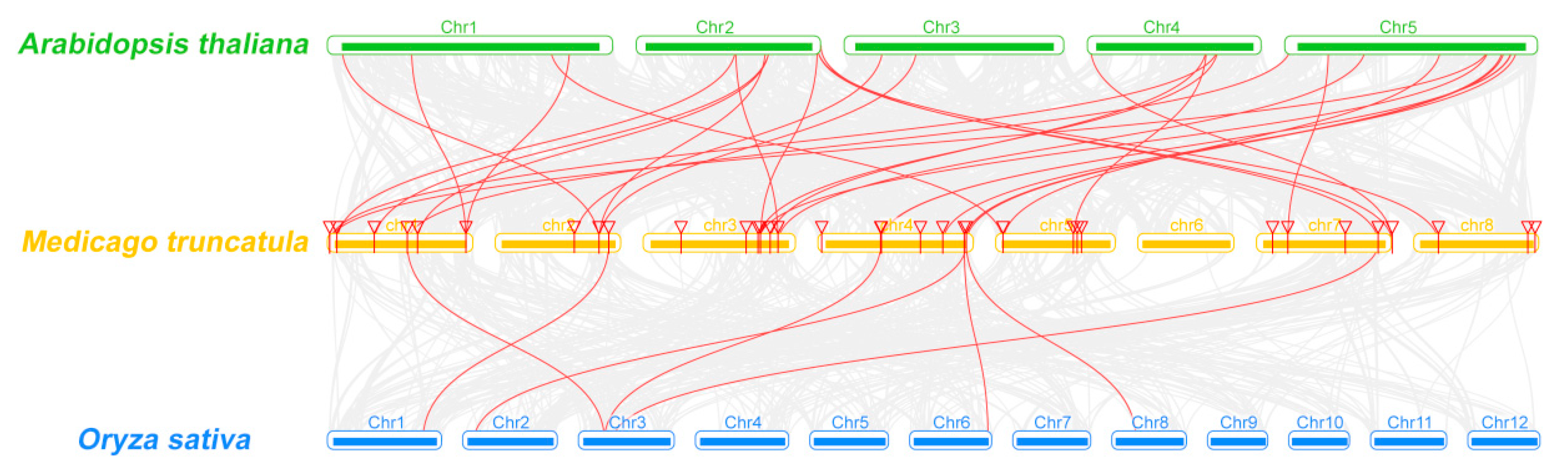 Plants 09 00513 g002