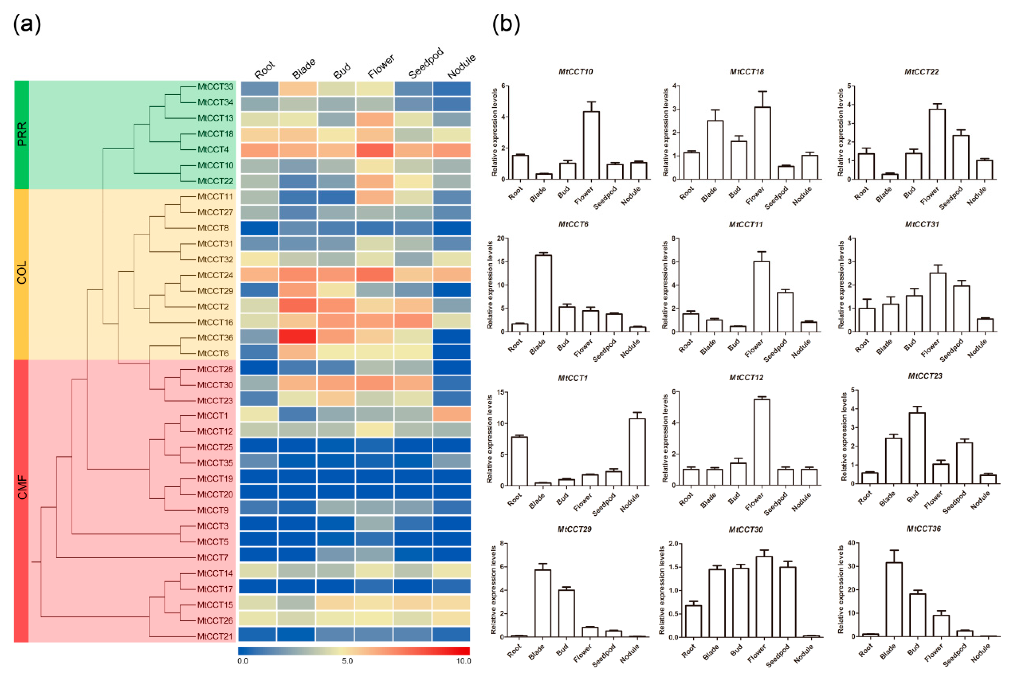 Plants 09 00513 g004
