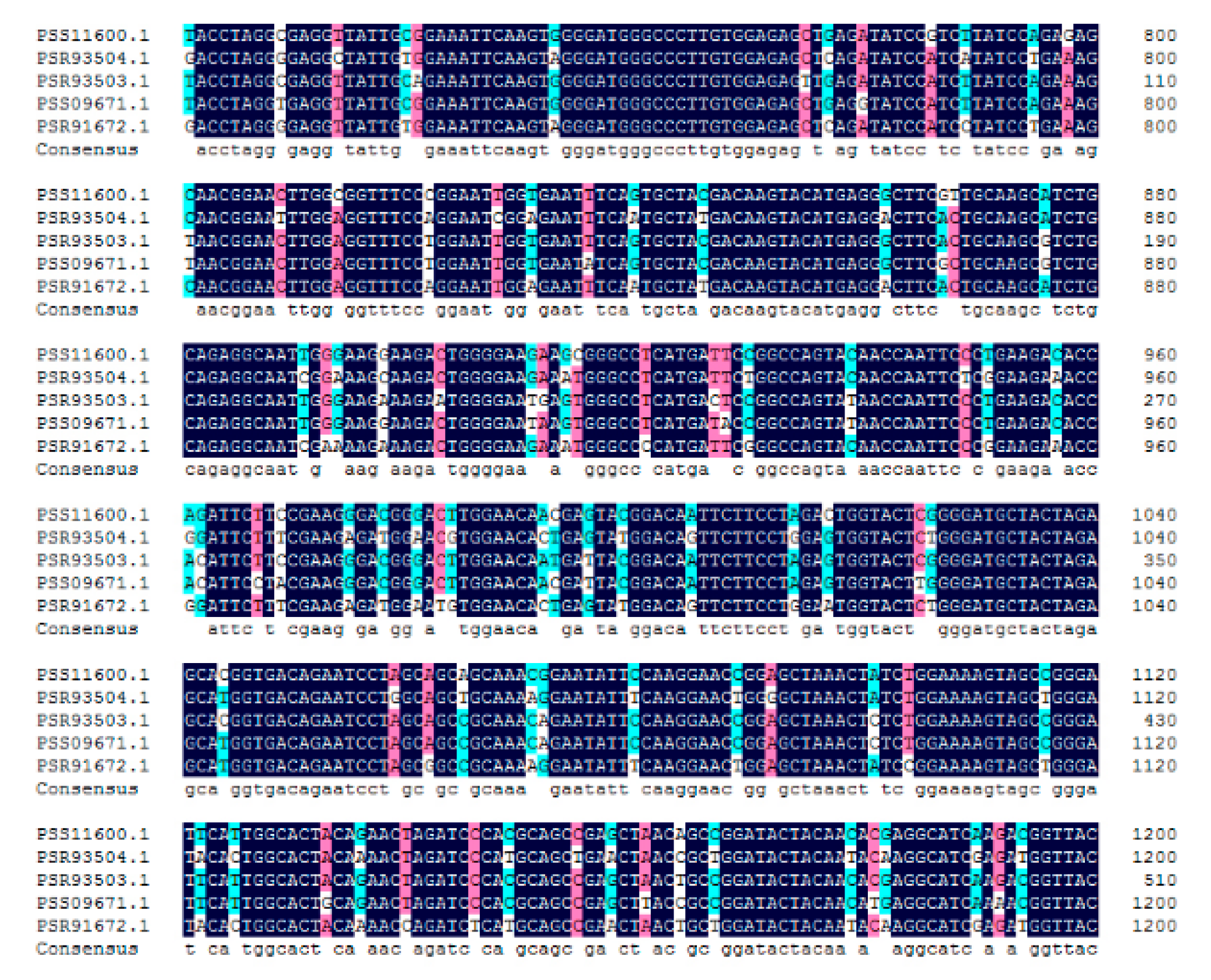Plants 09 00515 g007