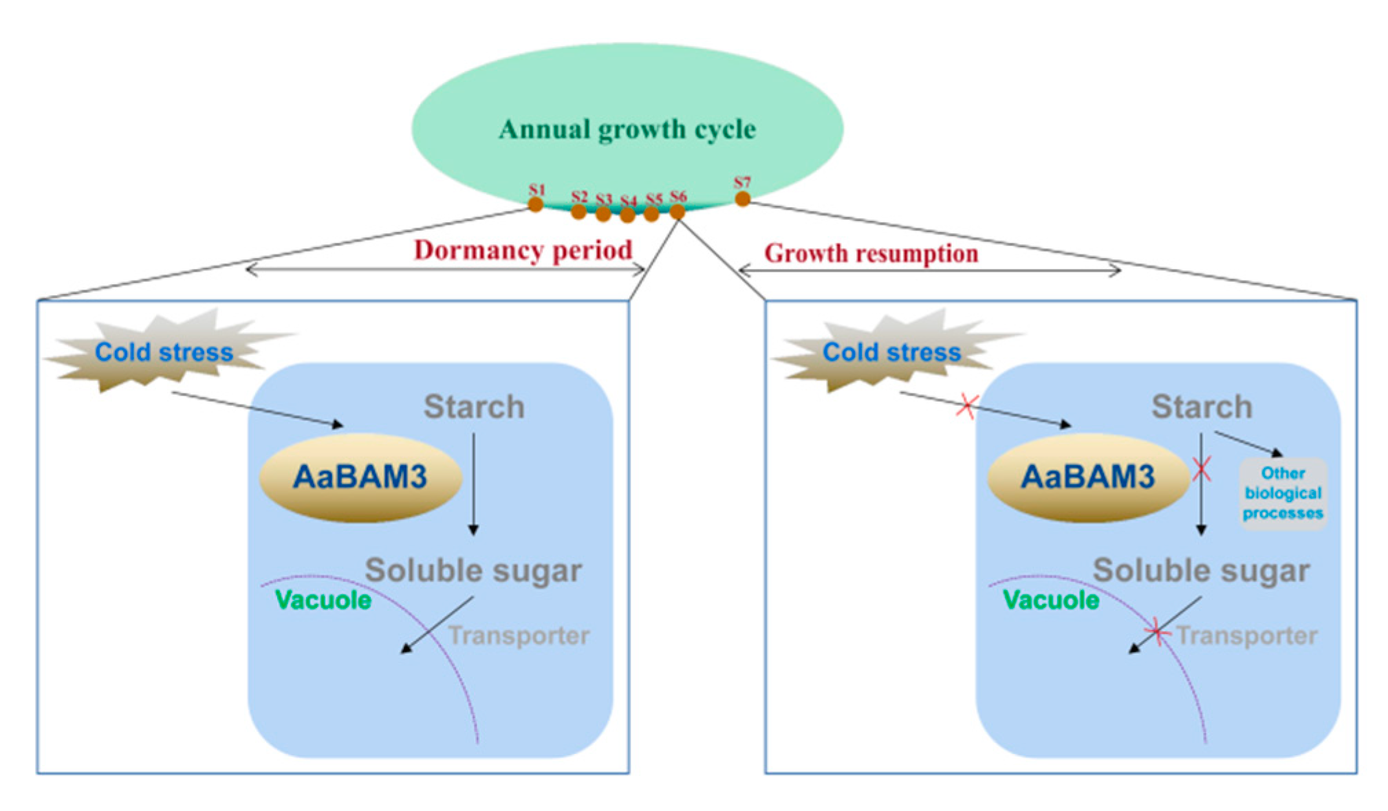 Plants 09 00515 g009