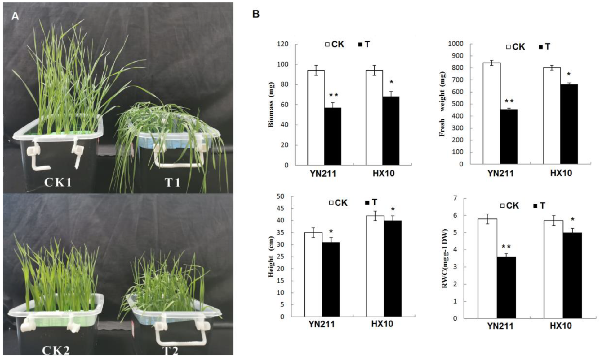 Plants 09 00520 g001 Plants 09 00520 g001
