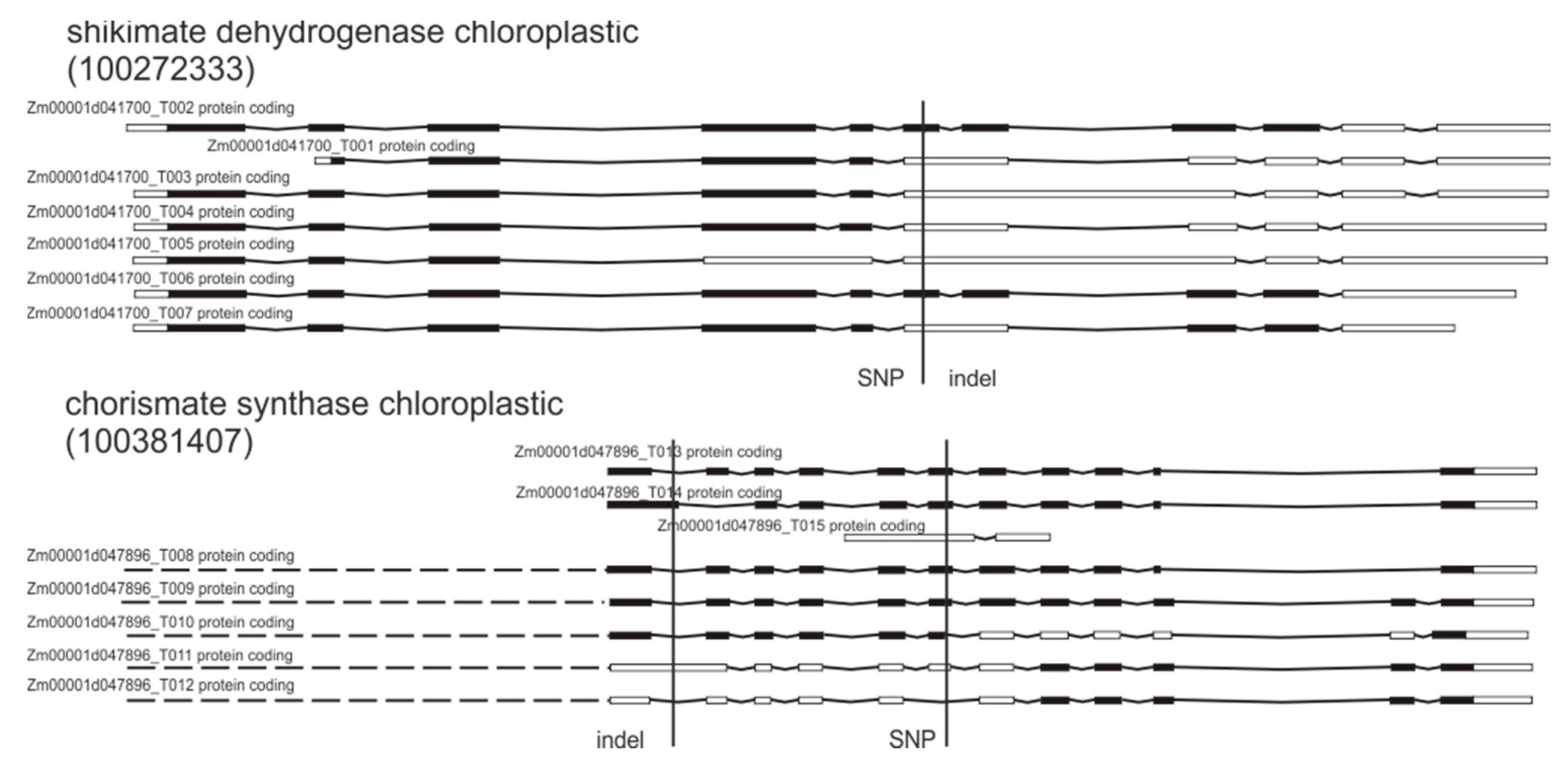 Plants 09 00523 g004