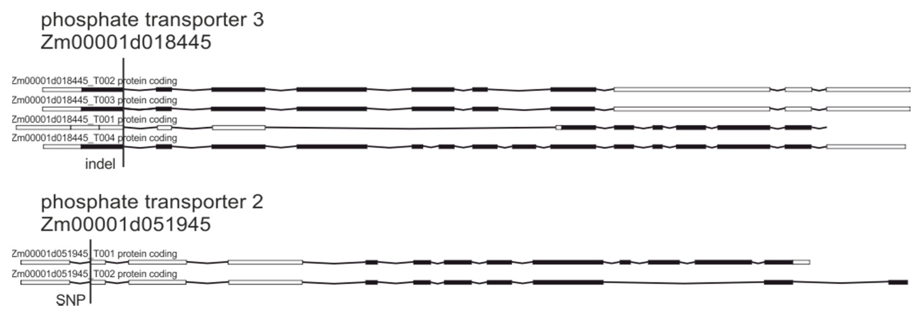 Plants 09 00523 g006