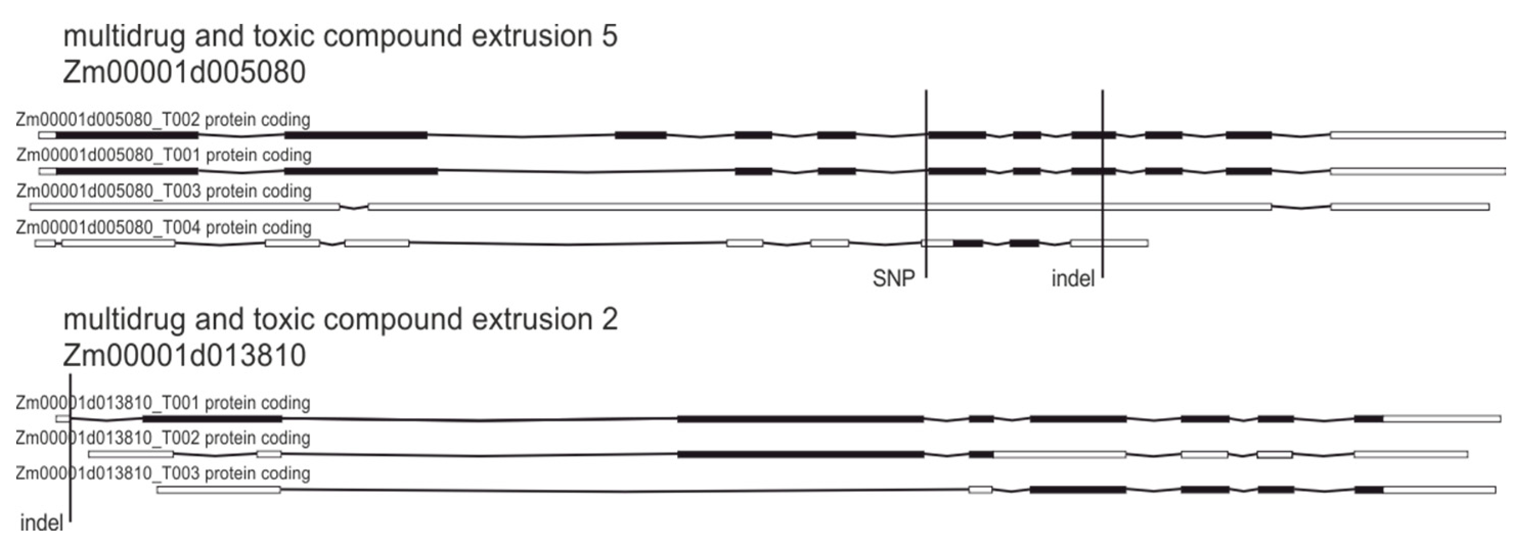 Plants 09 00523 g007