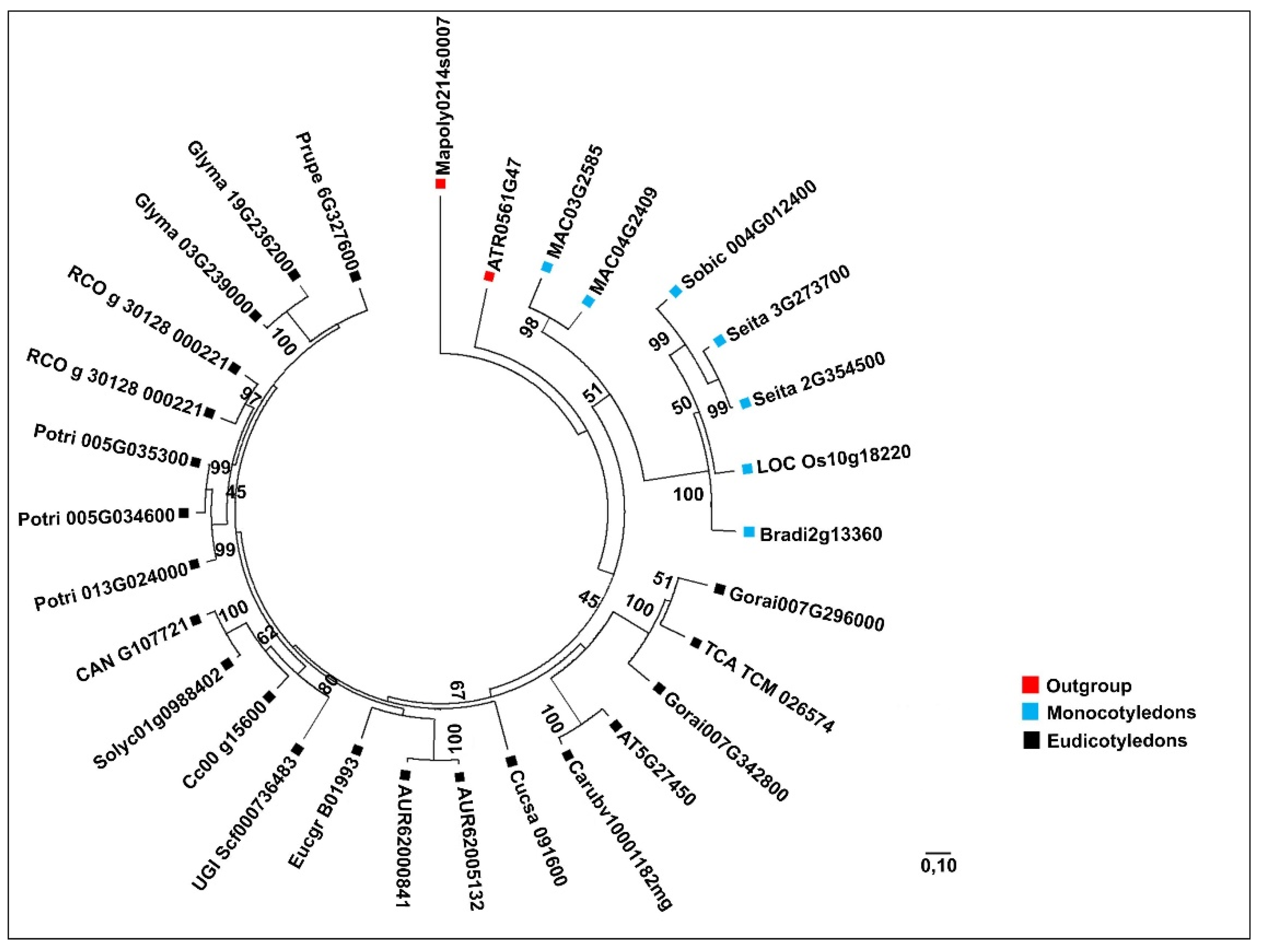 Plants 09 00525 g002