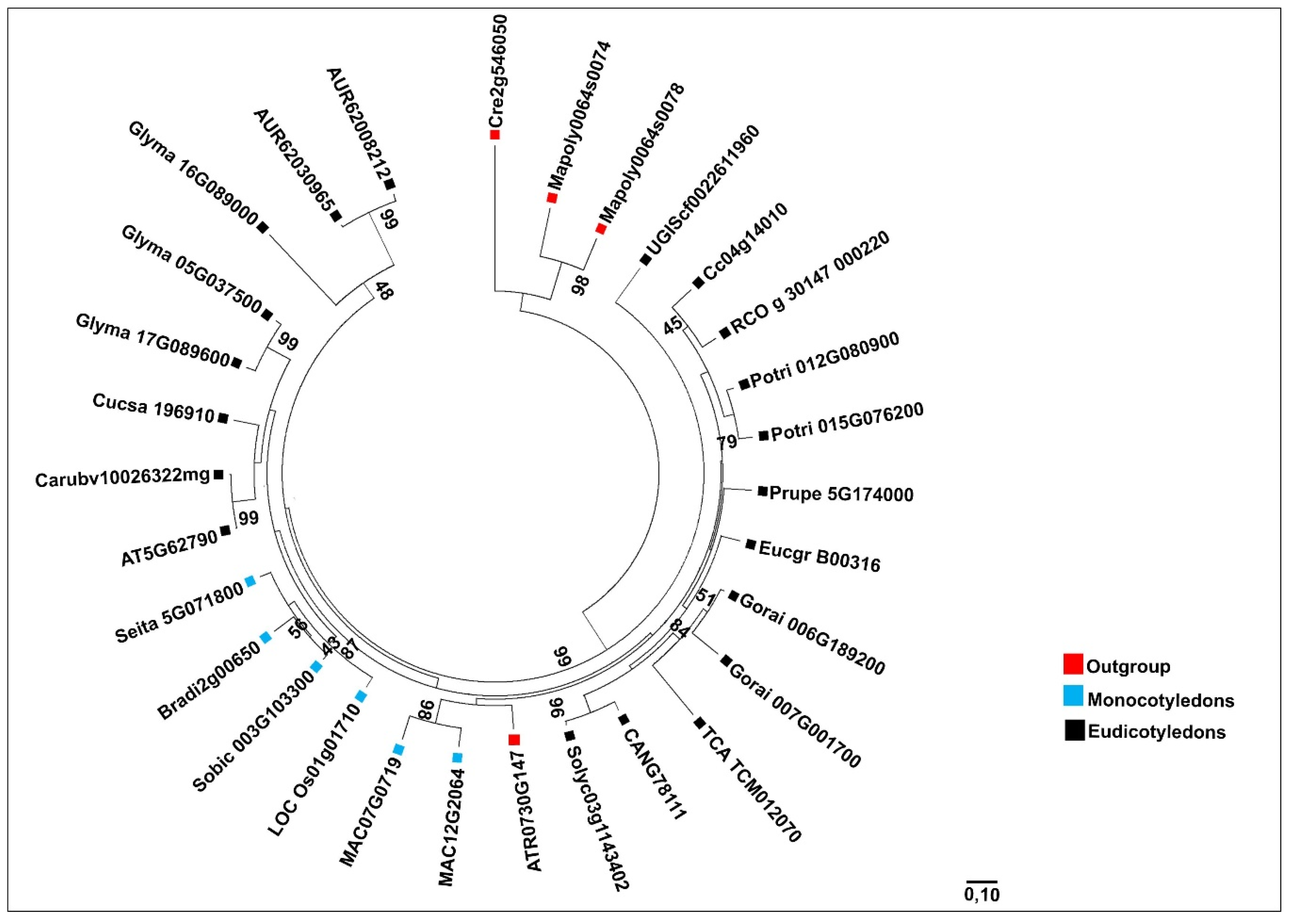 Plants 09 00525 g003