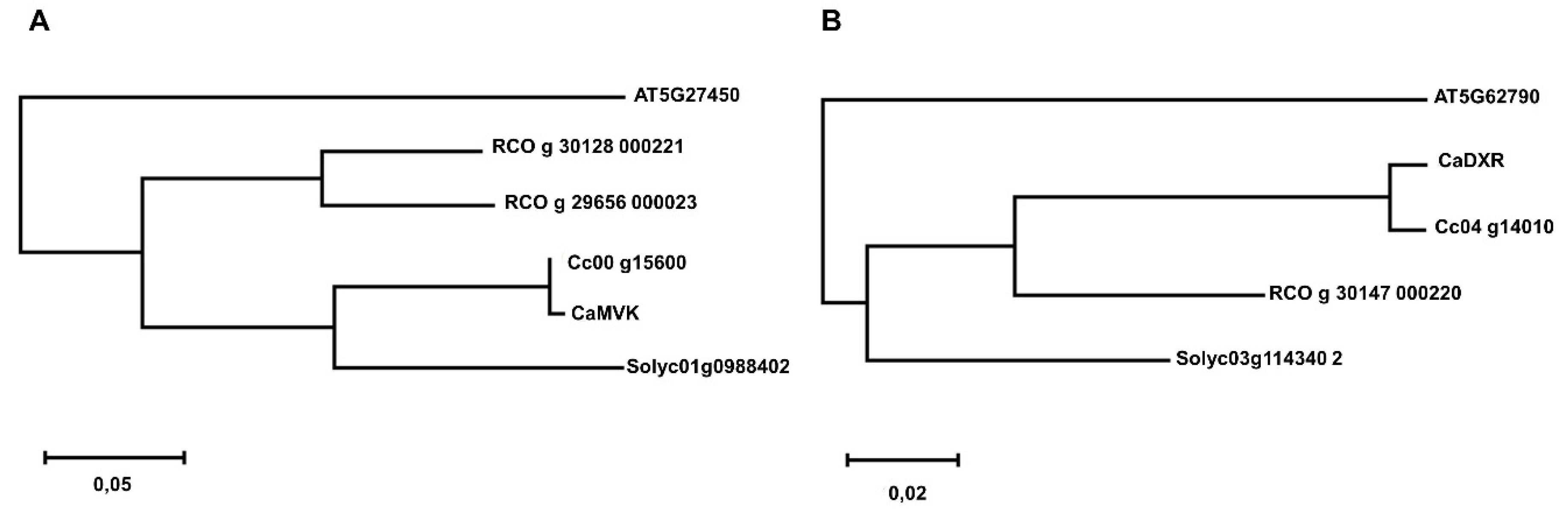 Plants 09 00525 g004