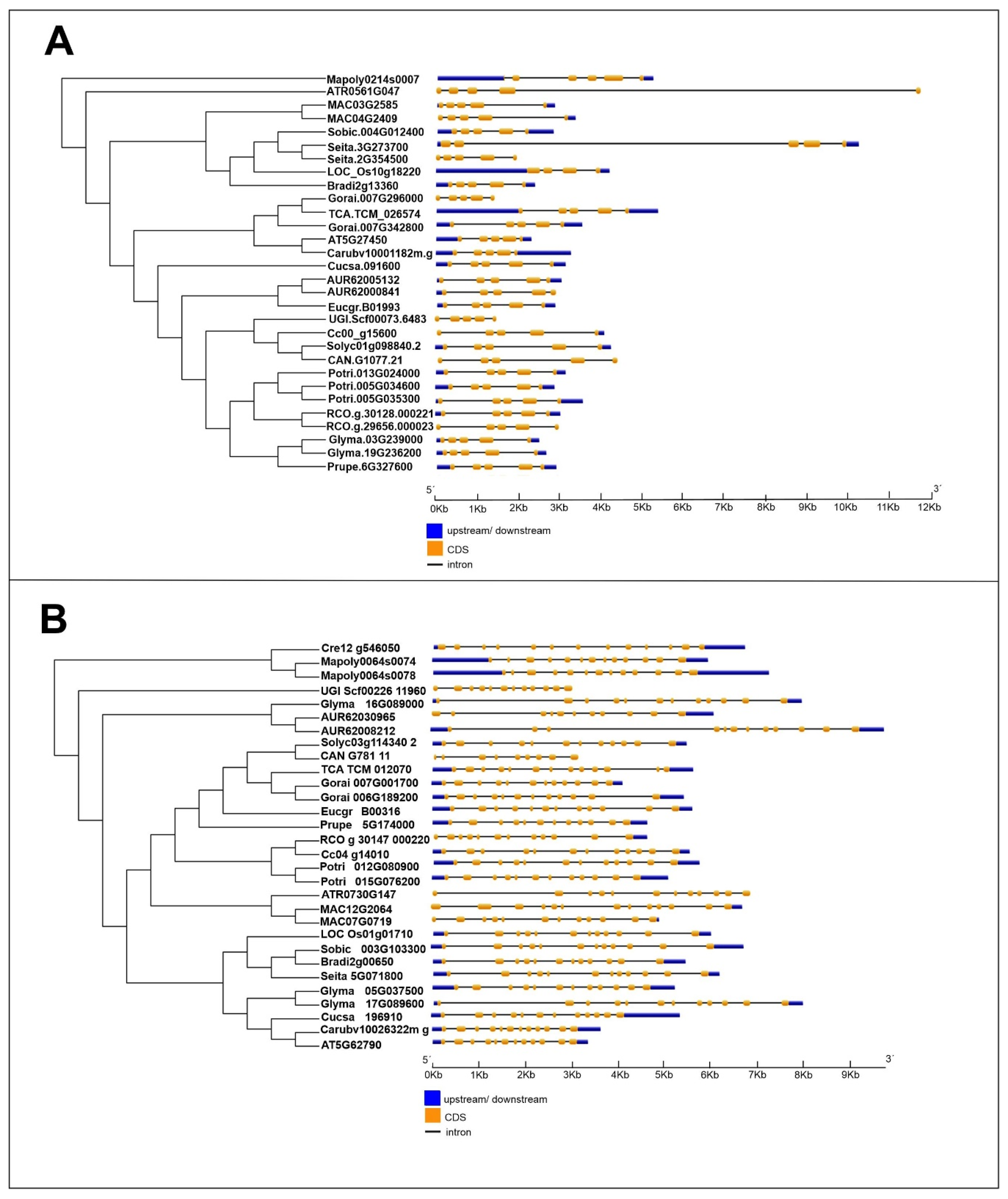 Plants 09 00525 g005