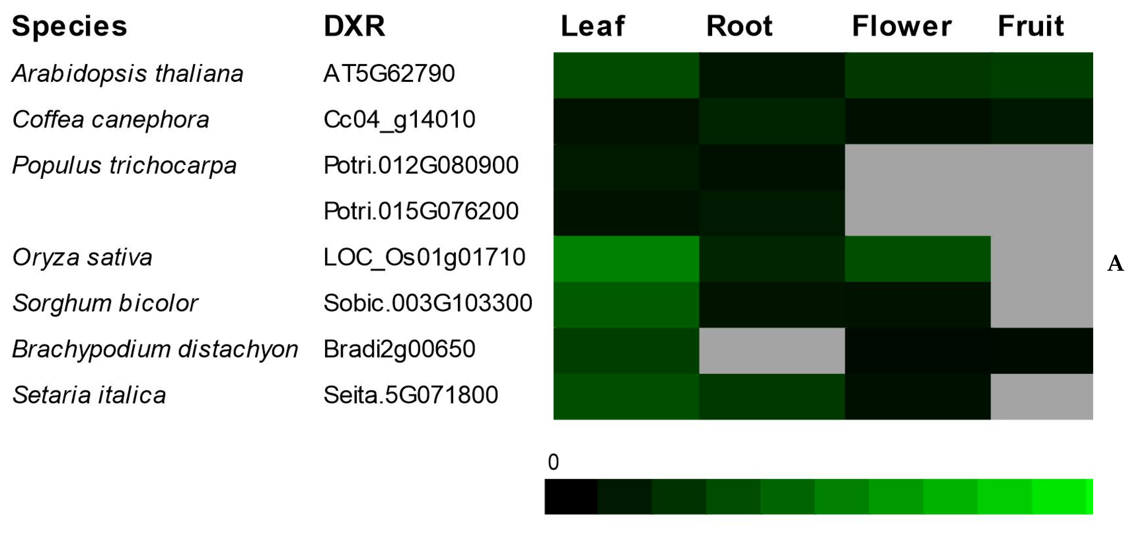 Plants 09 00525 g006a