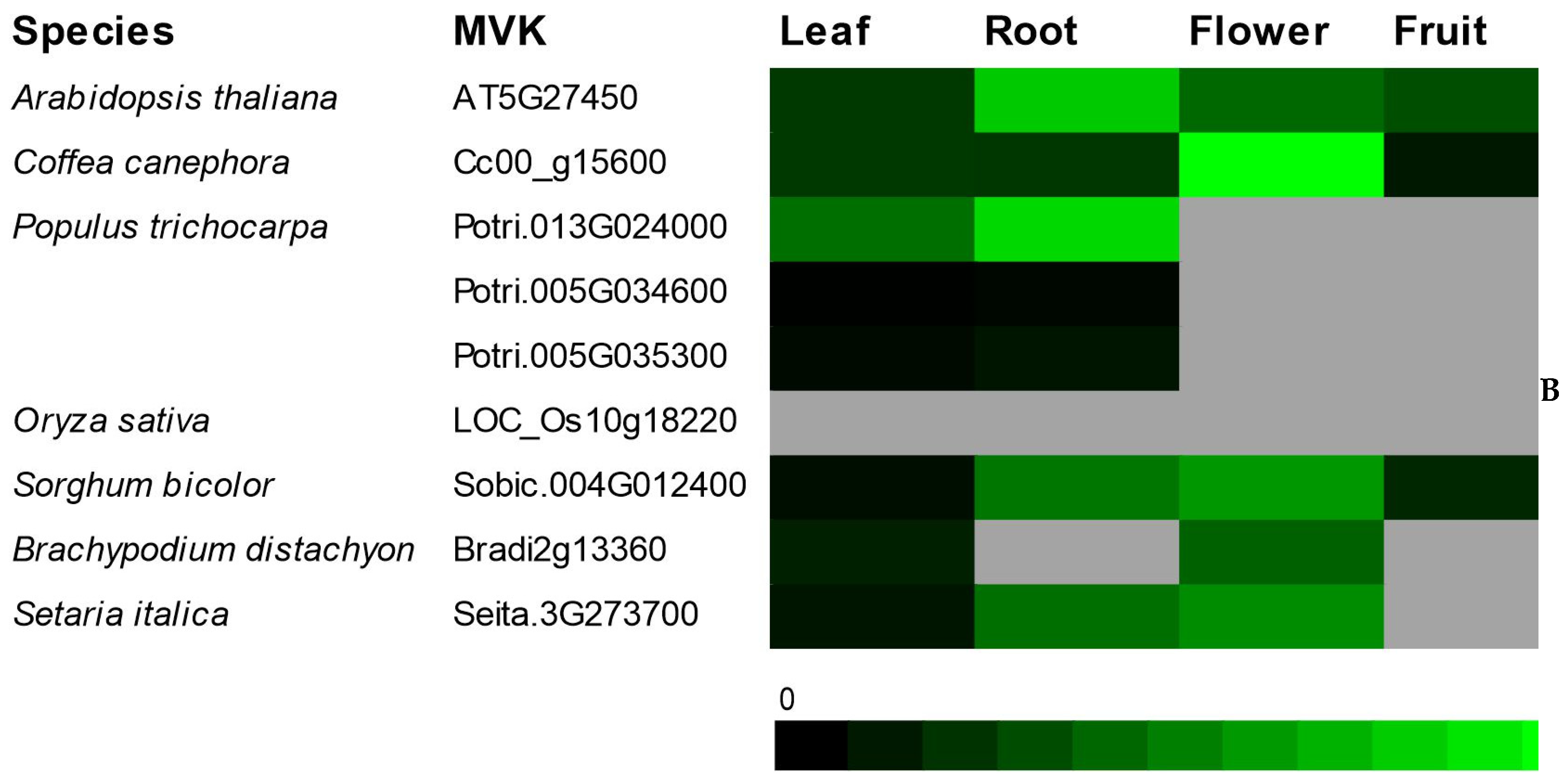 Plants 09 00525 g006b