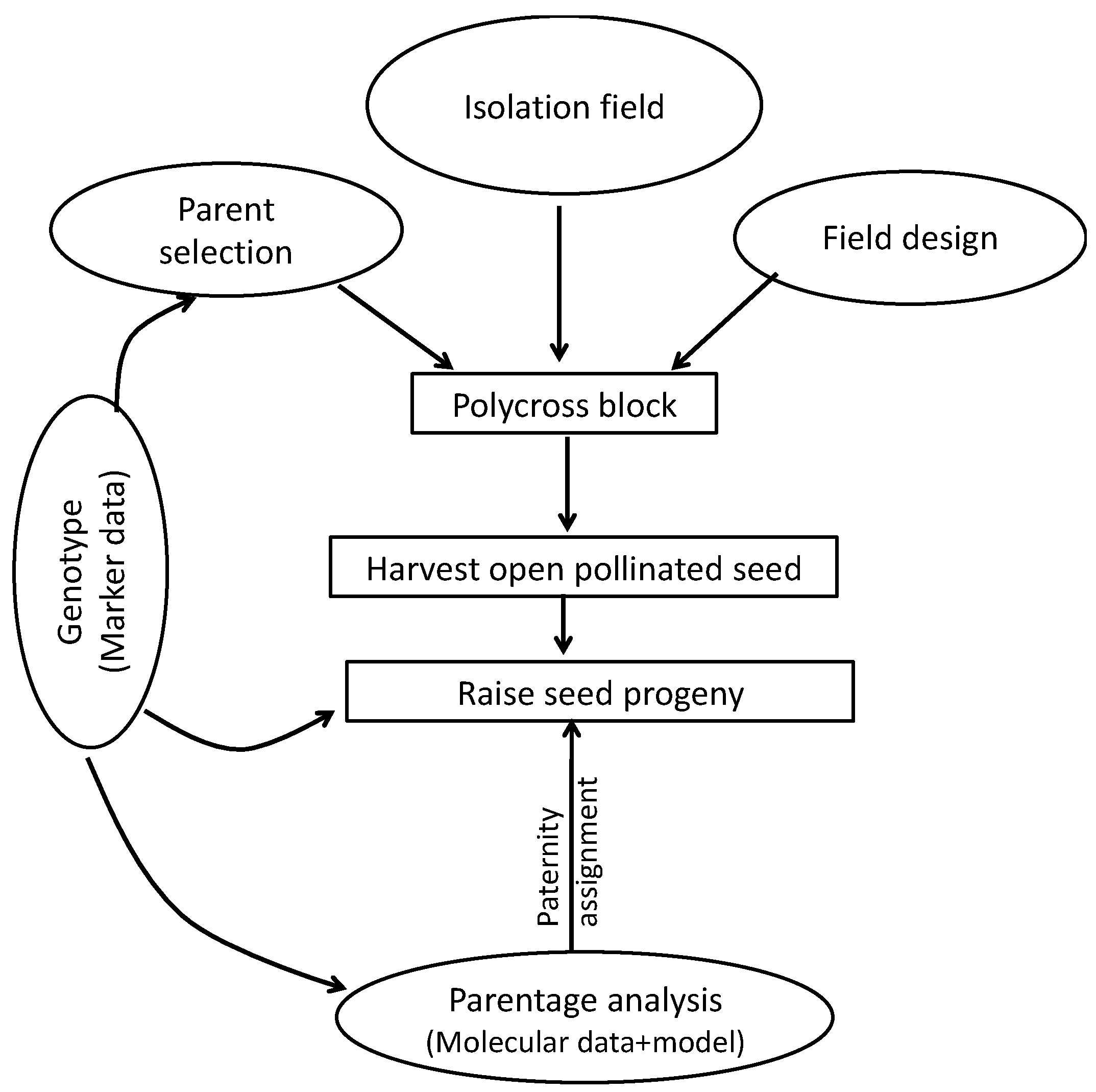 Plants 09 00527 g009 Plants 09 00527 g009