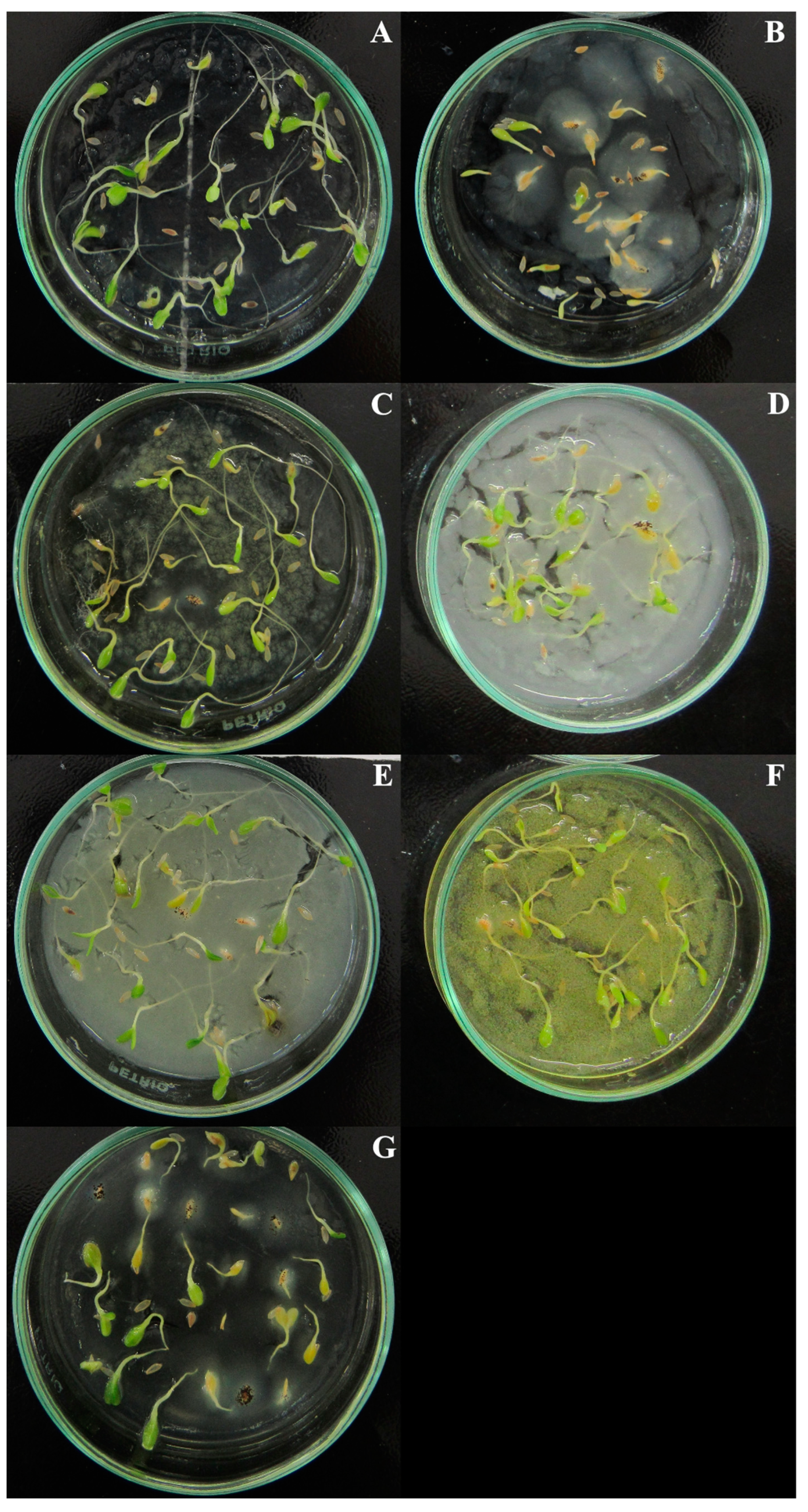 Plants 09 00533 g001 Plants 09 00533 g001