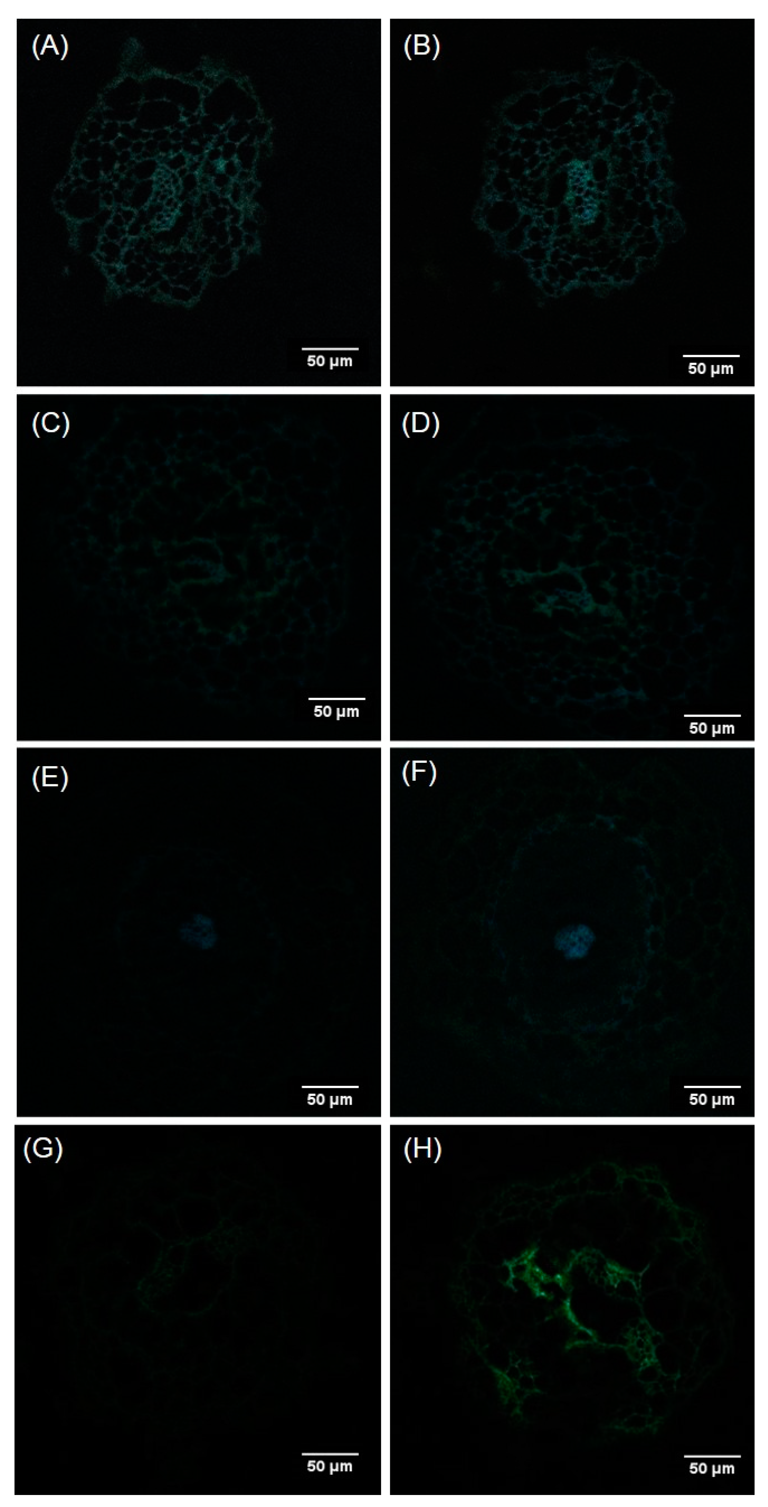 Plants 09 00536 g009