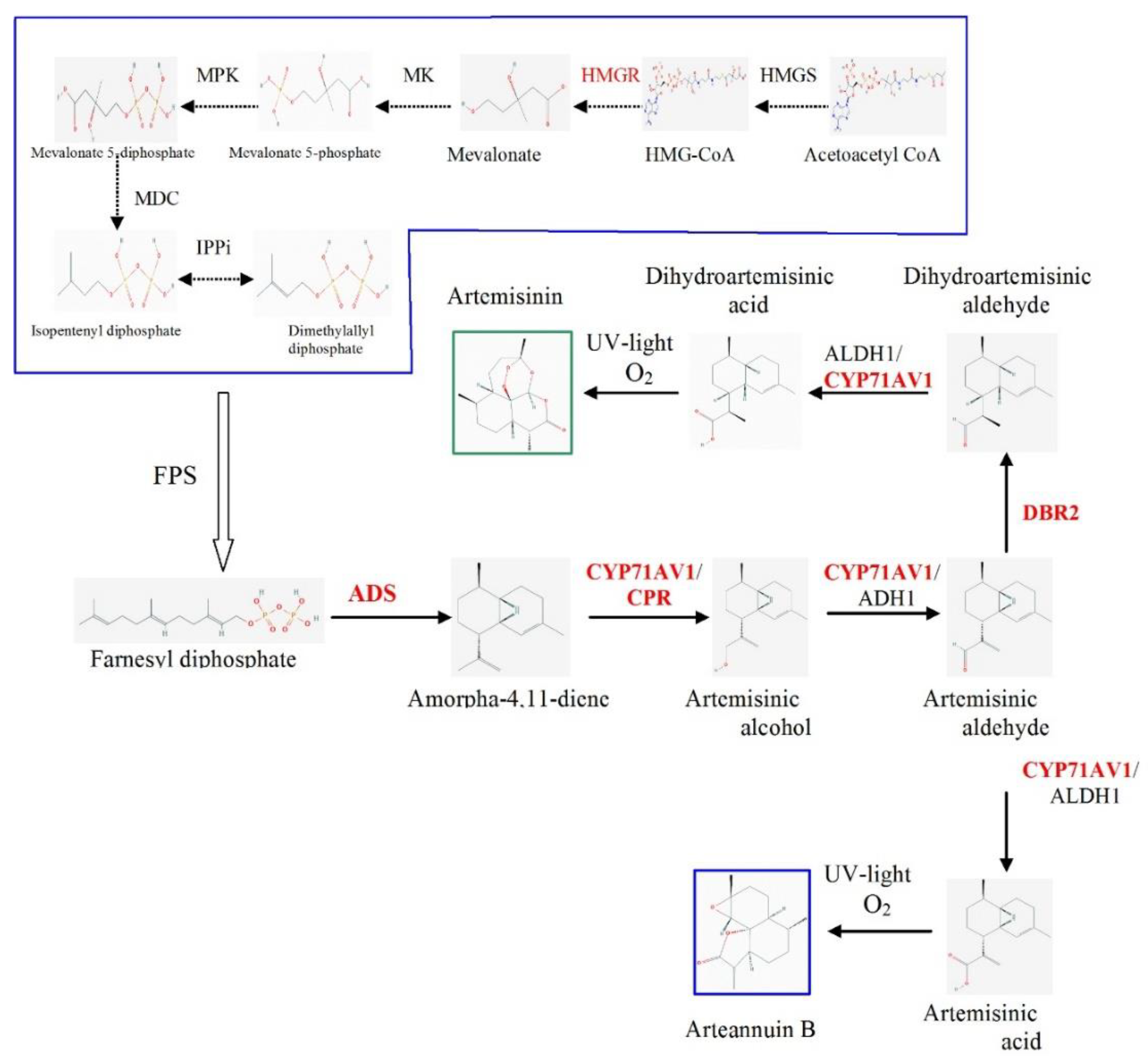 Plants 09 00537 g001