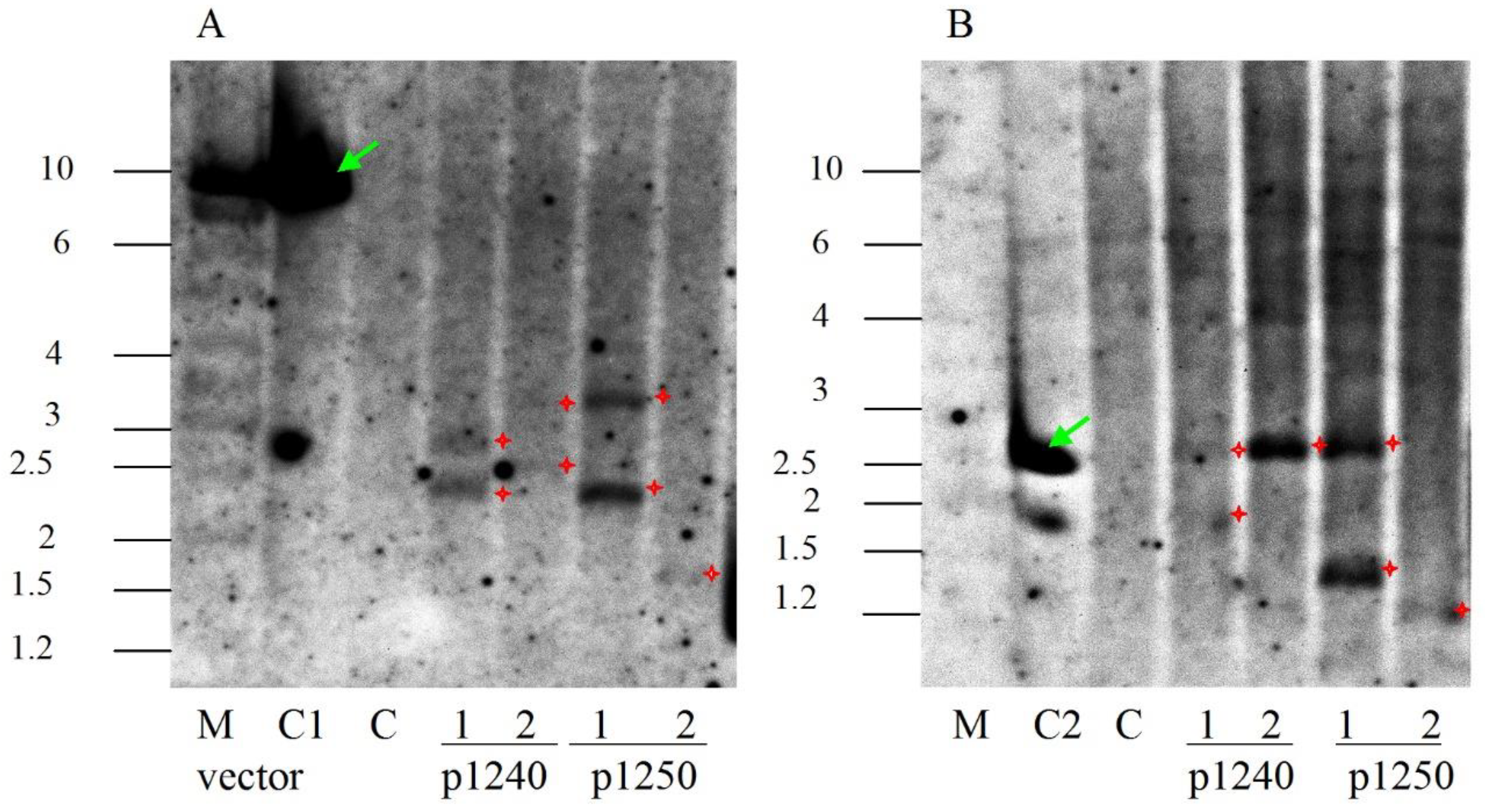 Plants 09 00537 g005