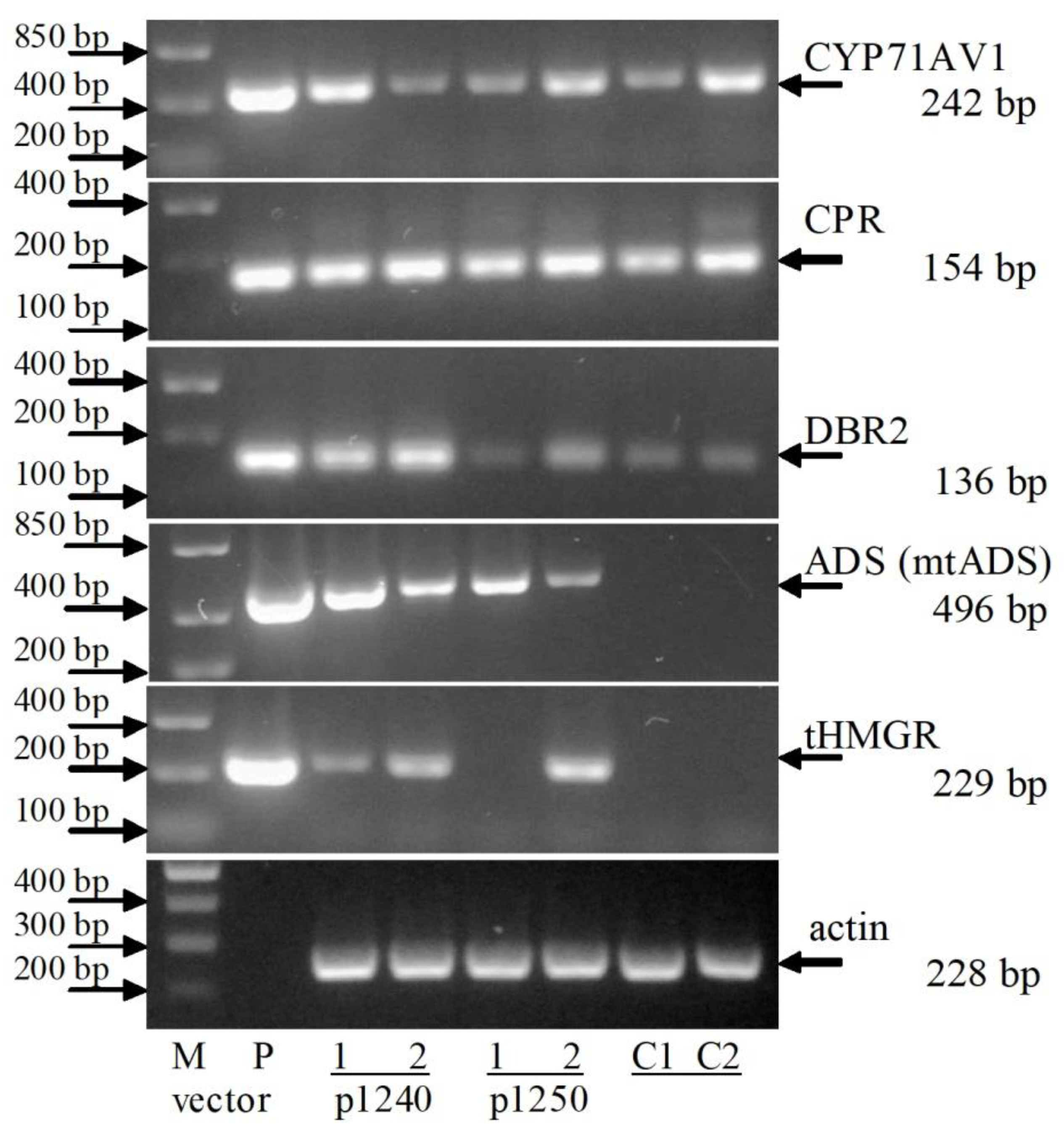 Plants 09 00537 g006