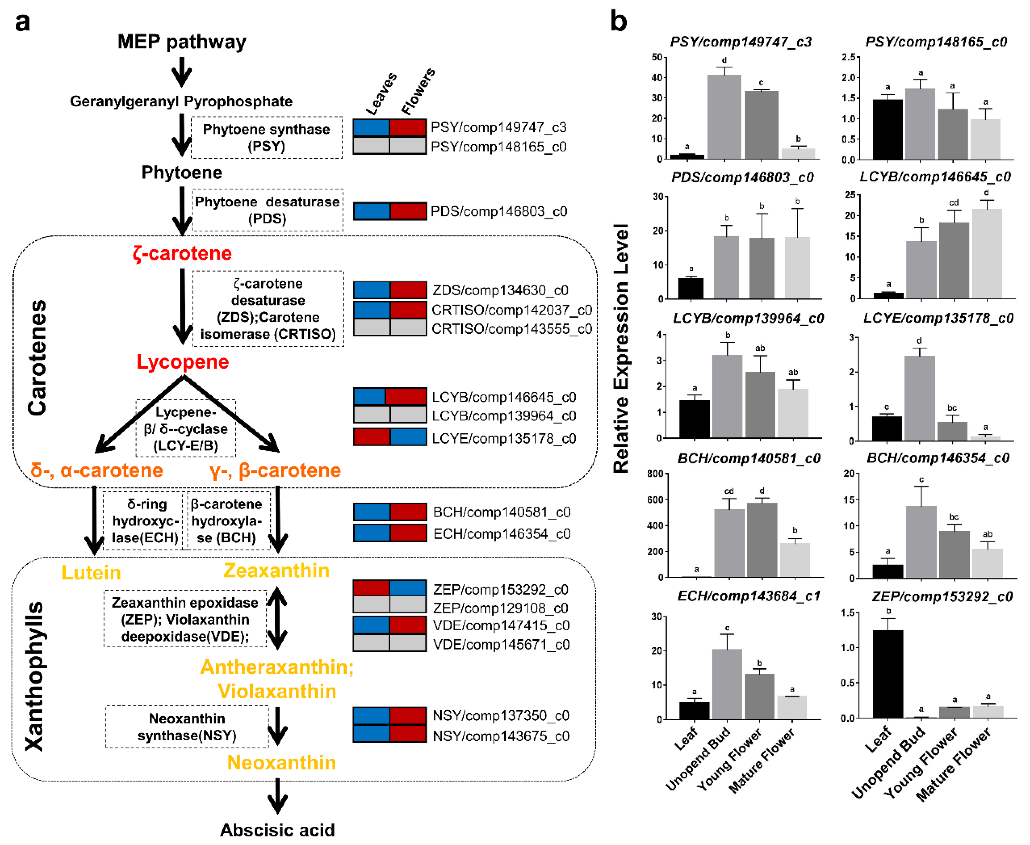 Plants 09 00540 g004 Plants 09 00540 g004