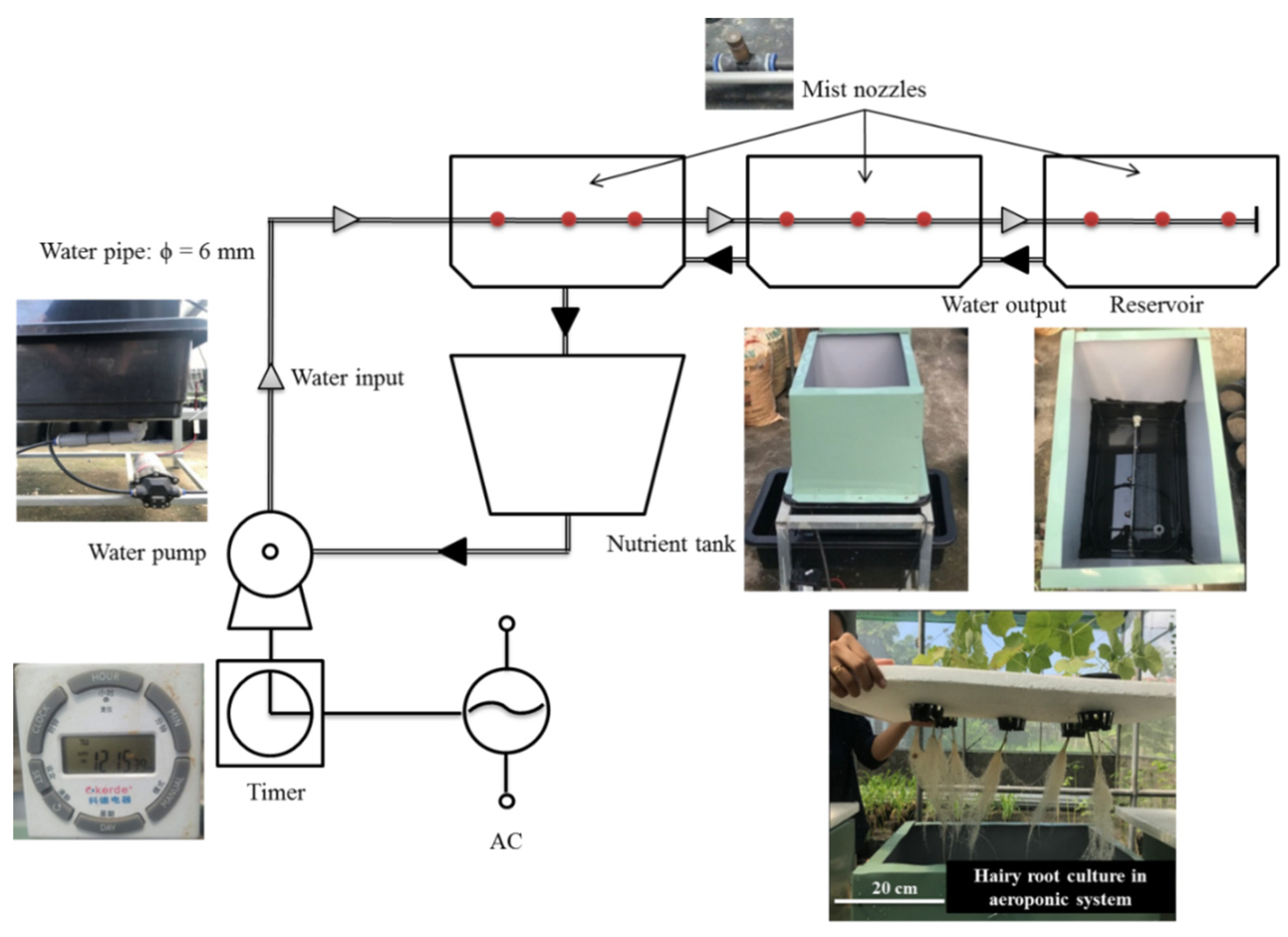 Plants 09 00548 g009 Plants 09 00548 g009