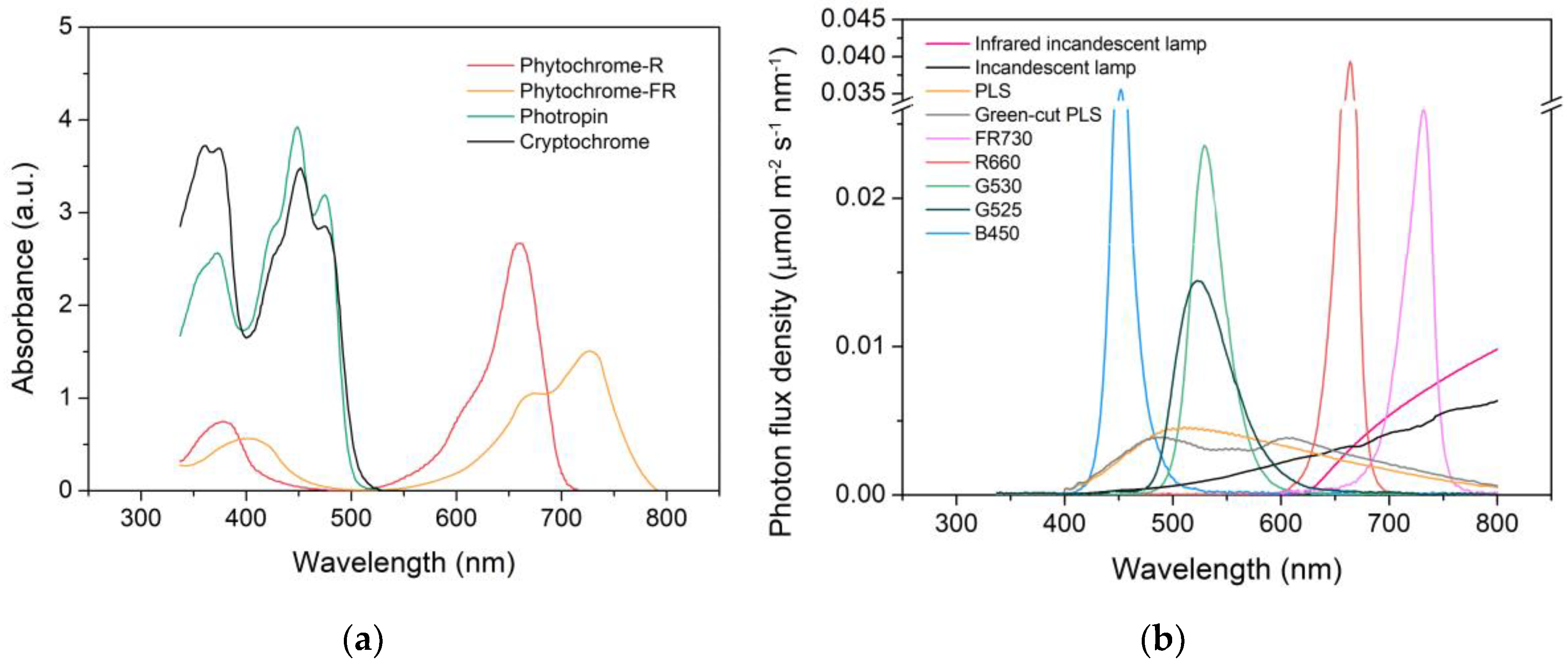 Plants 09 00556 g001