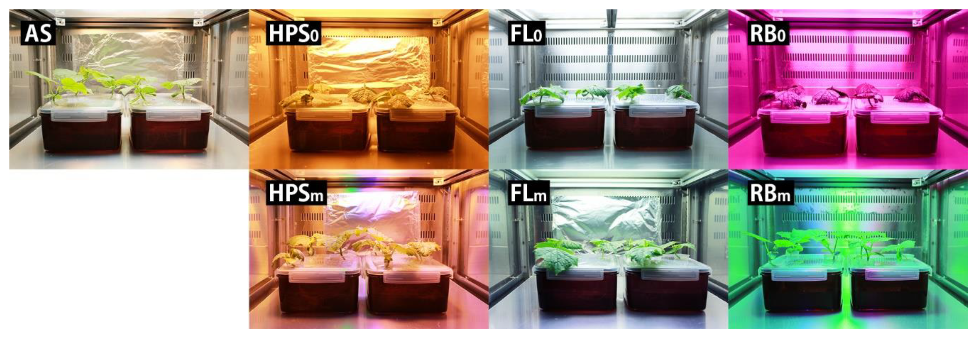 Plants 09 00556 g003