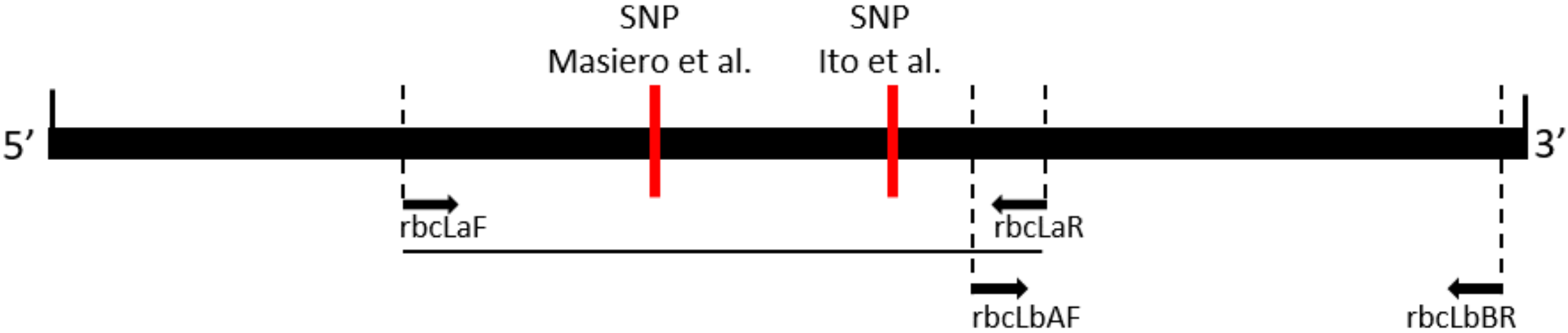 Plants 09 00558 g001 Plants 09 00558 g001