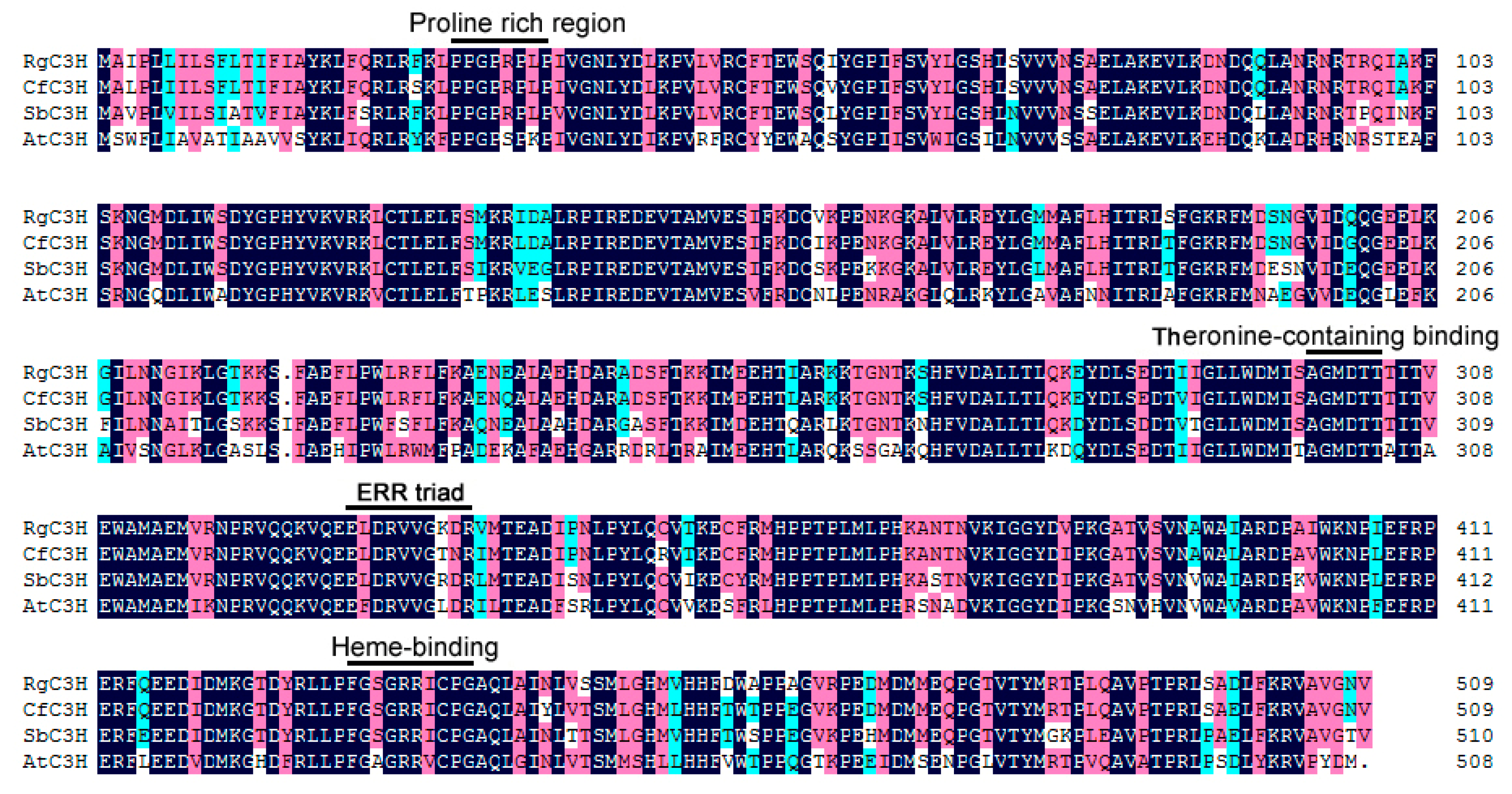 Plants 09 00567 g001